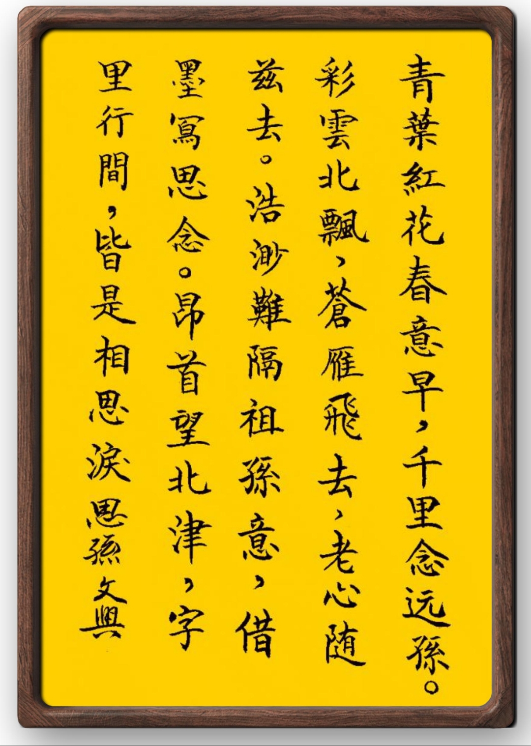 admin 第157页