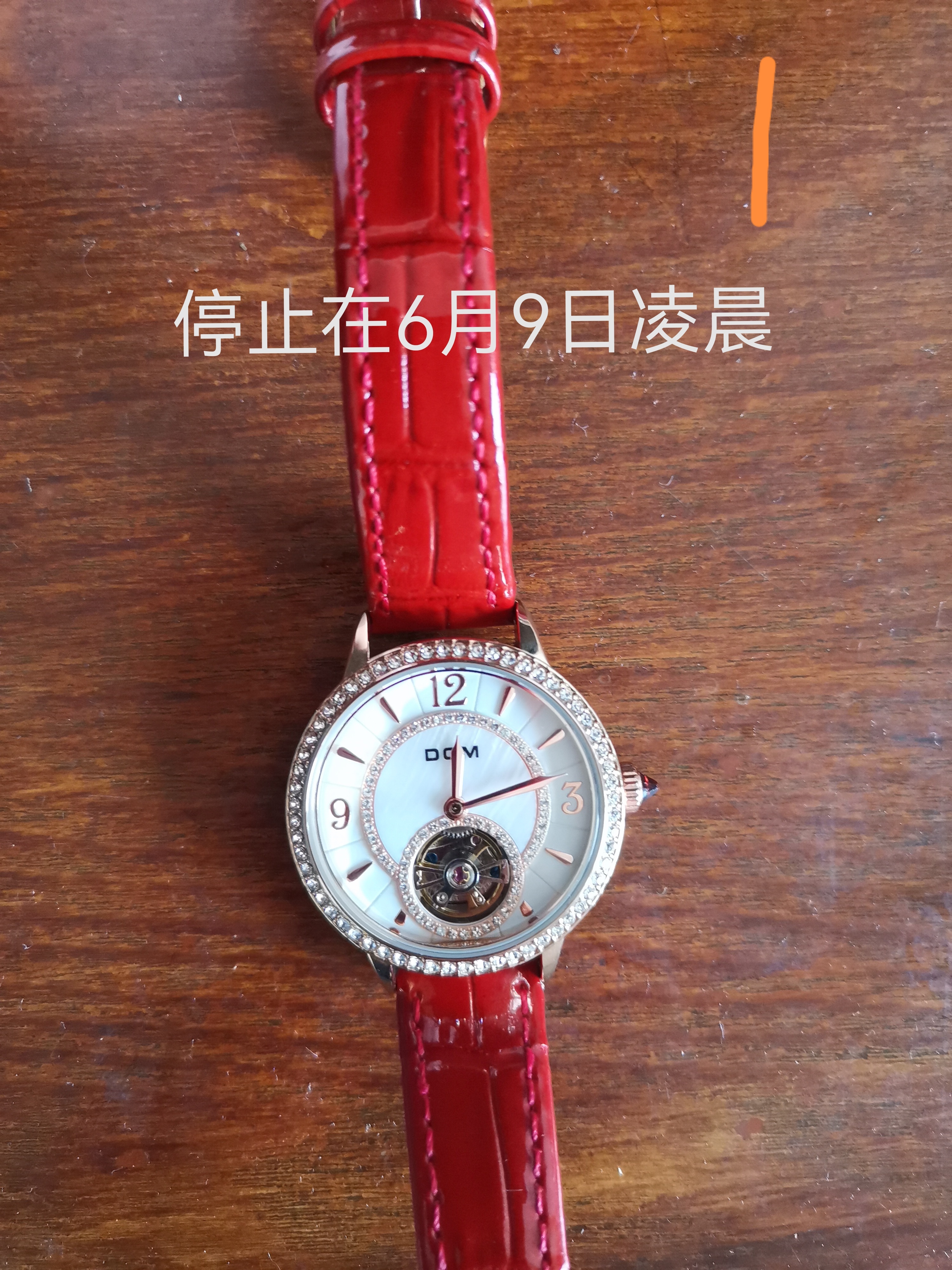 dom女款全自动机械手表质量非常差,并且售后也差,我在张能直播间化399