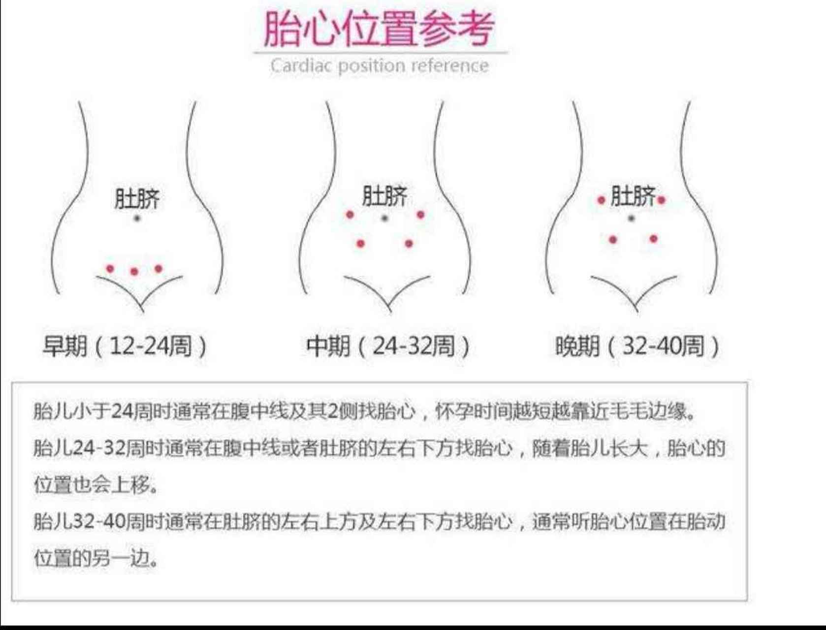 医生画的胎位十字架图片