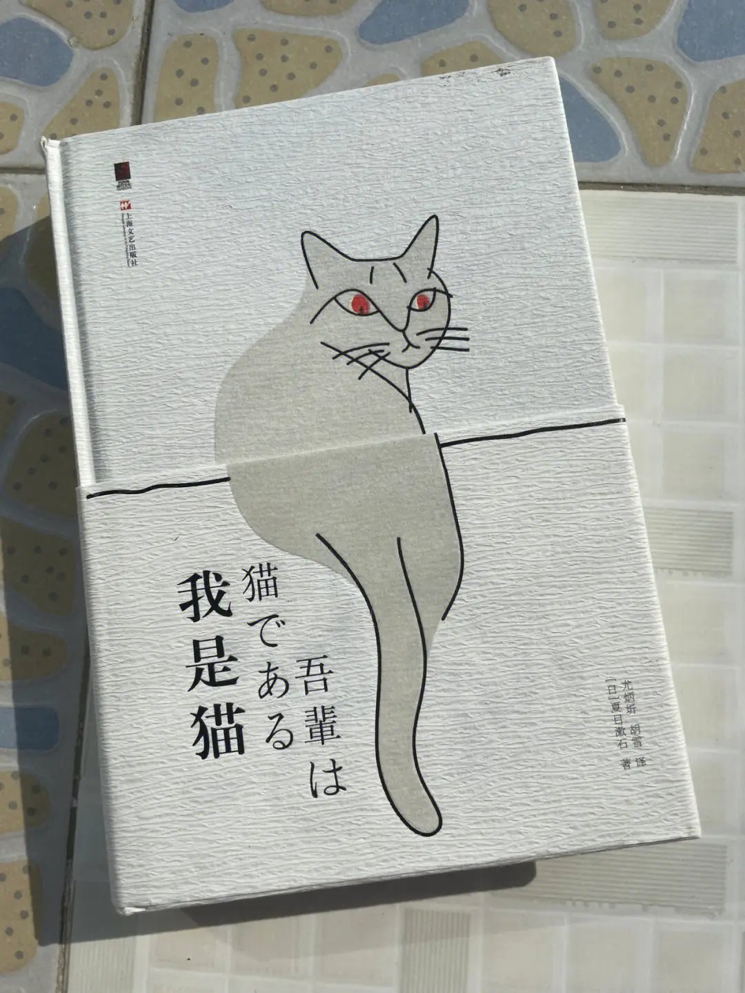 《我是猫》是一本由日本作家夏目漱石所写的小说,通过一只名叫"我"的