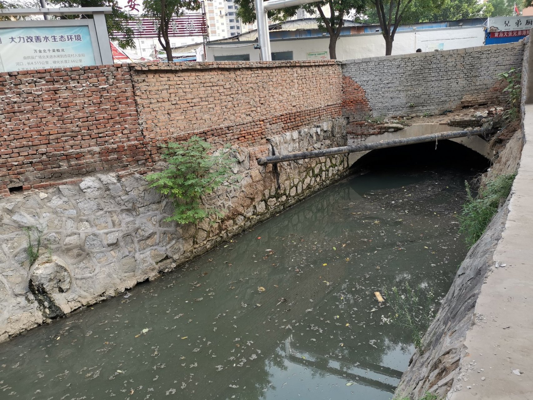 安阳资讯# 【万金渠水突变浑,居民呼吁源头管控】今天下午,有市民