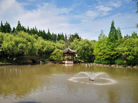 瀛洲崇明岛图片