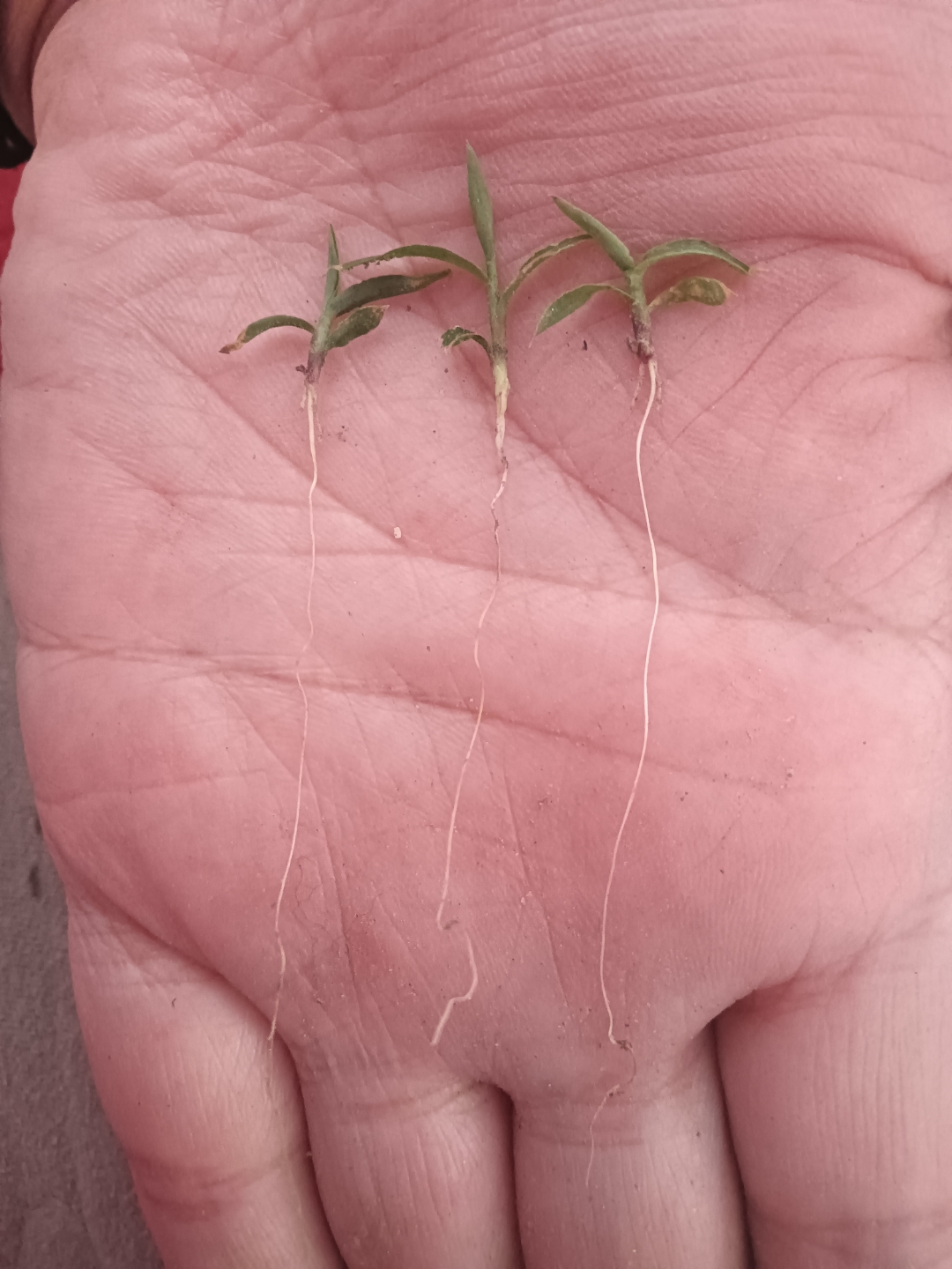 人生,就是一场自己与自己的较量:让积极打败消极