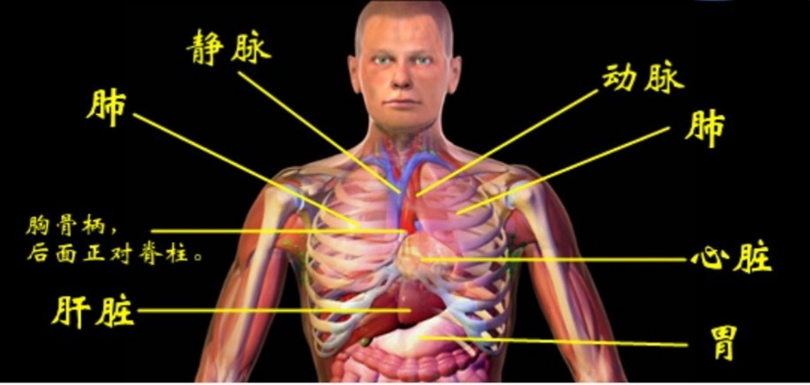 莫桑比克射击法,1秒内胸部打两枪,头部补一枪    该法特点是连开三枪
