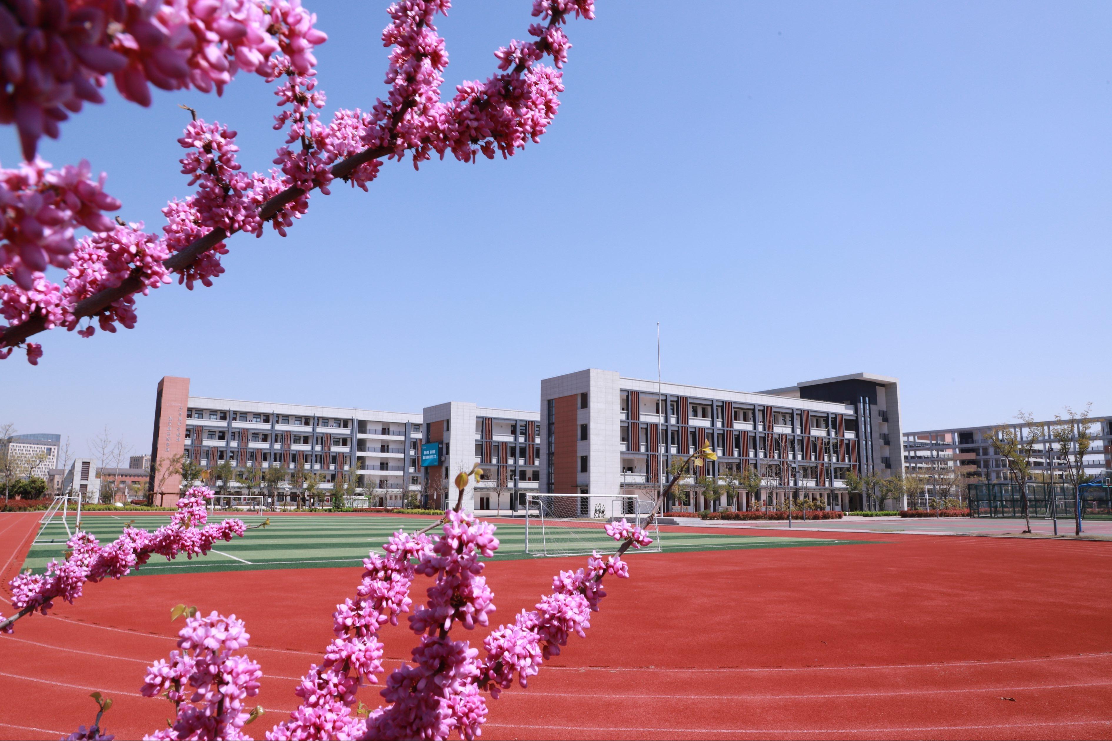 中央发文为中小学教师减负#聊聊你的近日感悟#