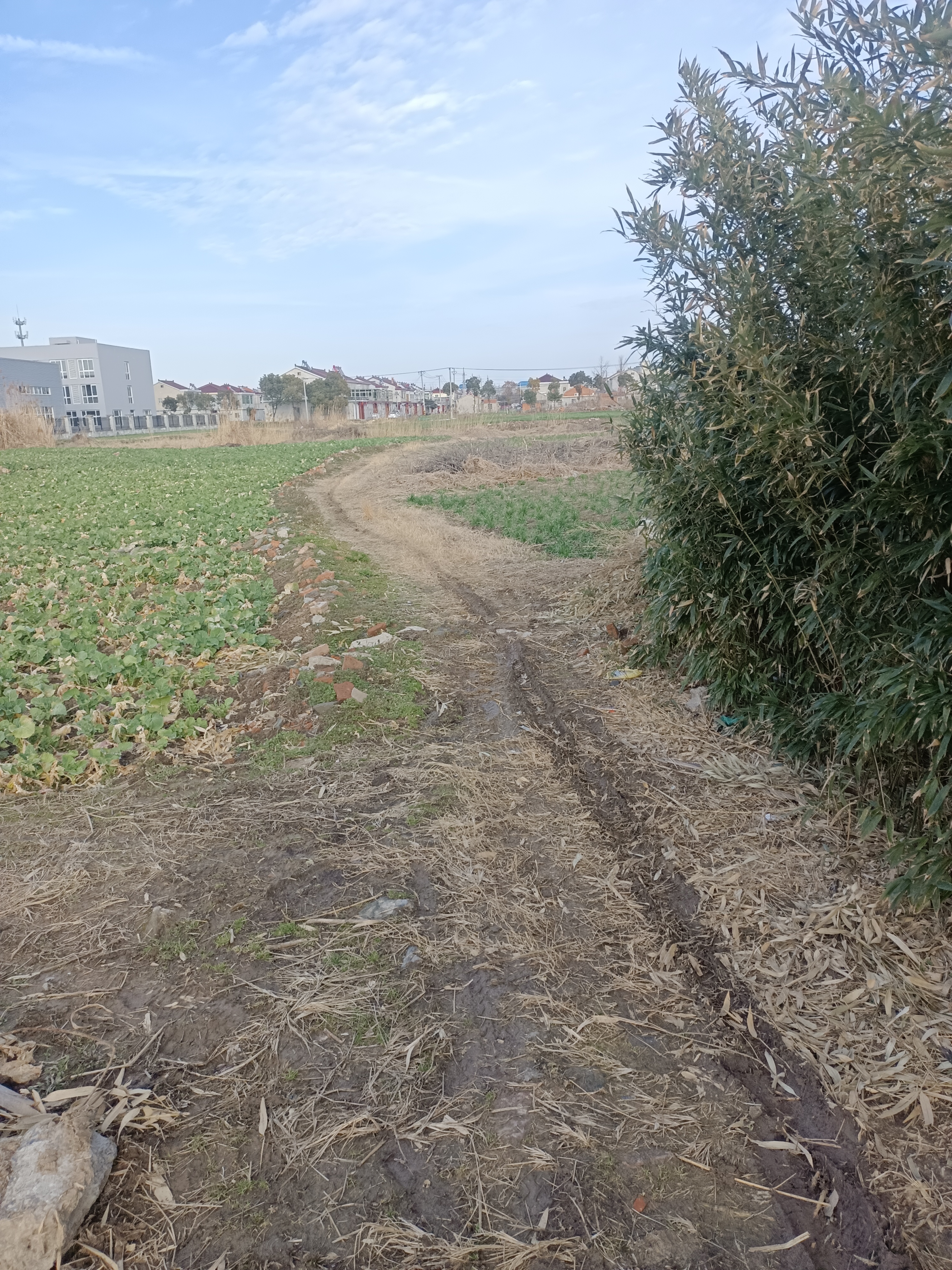 我眼中的秋天#  走近广袤田野,踏上羊肠小道; 沐浴习习凉风,寻找春天