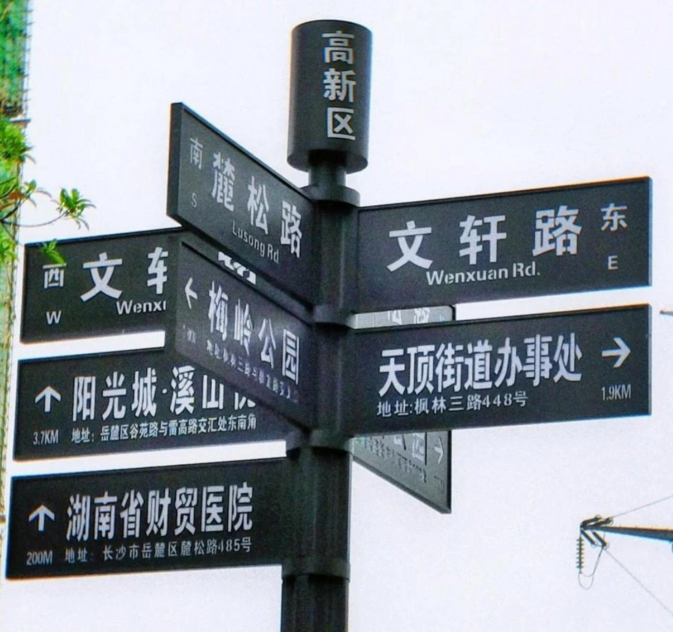 文轩路a♀ 重庆有耀文路 广州有亚轩路 广州重庆有文轩路 hahaha 磕到