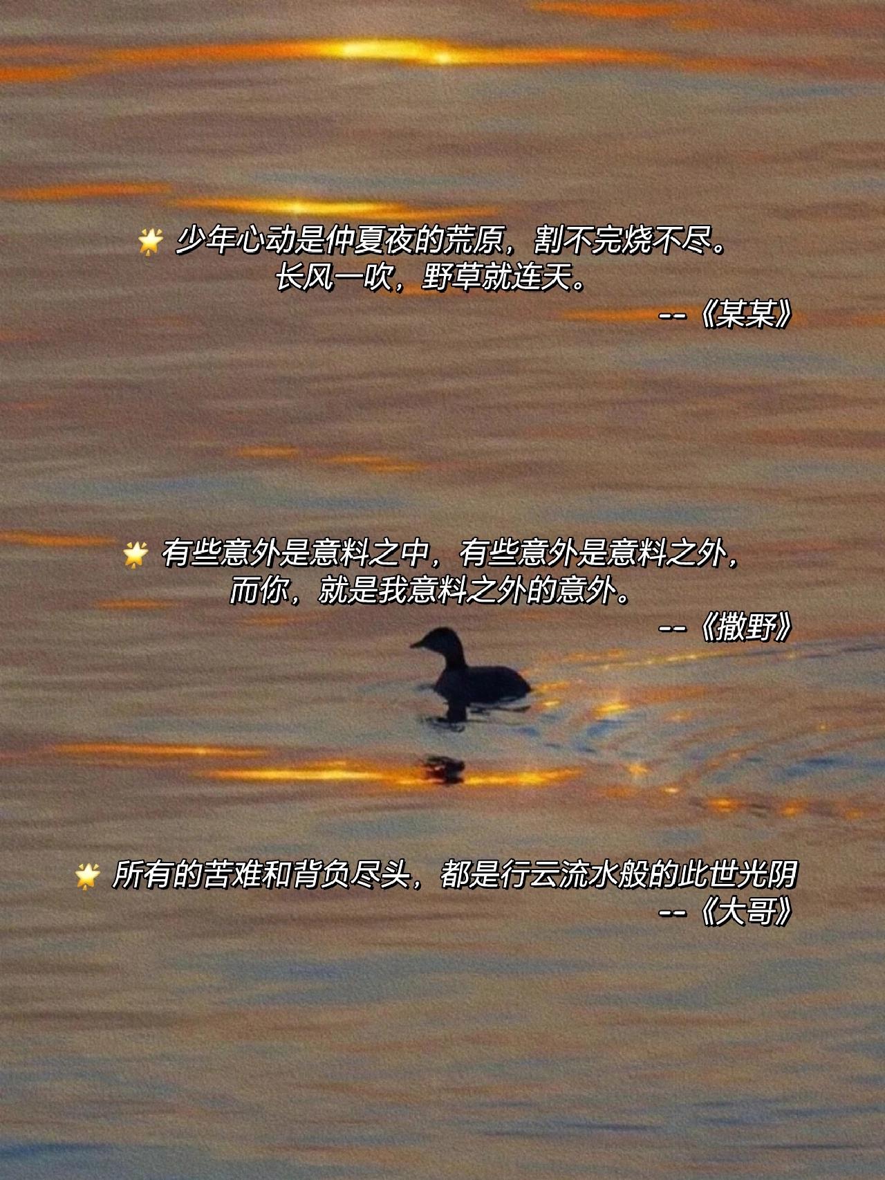 一句话记住一本书 原耽篇#原耽即是光#  18本原耽小说经典语录#原耽