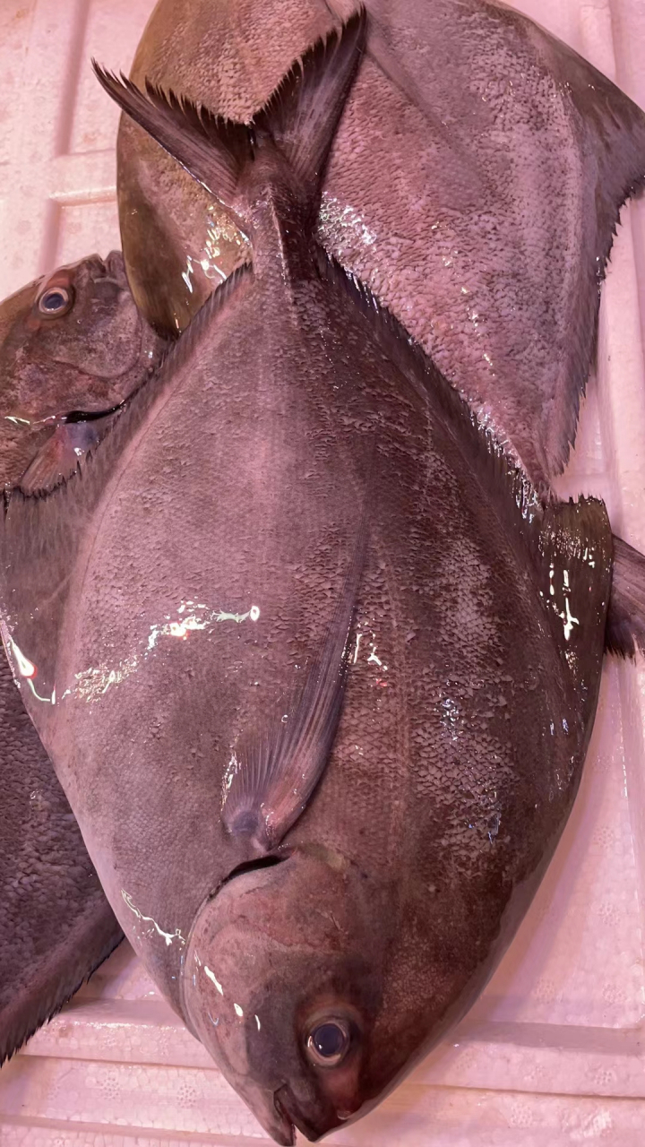 哪种是你喜欢常吃的海鱼?