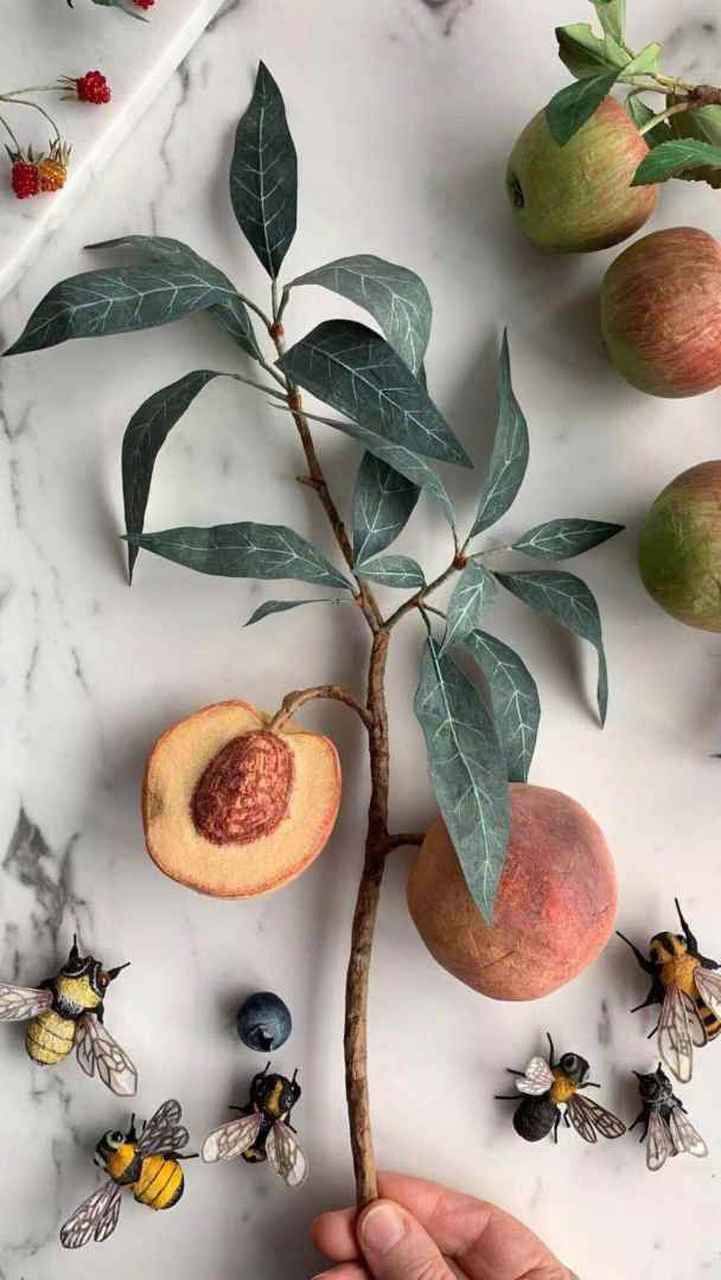 客观性色彩归纳怎么画