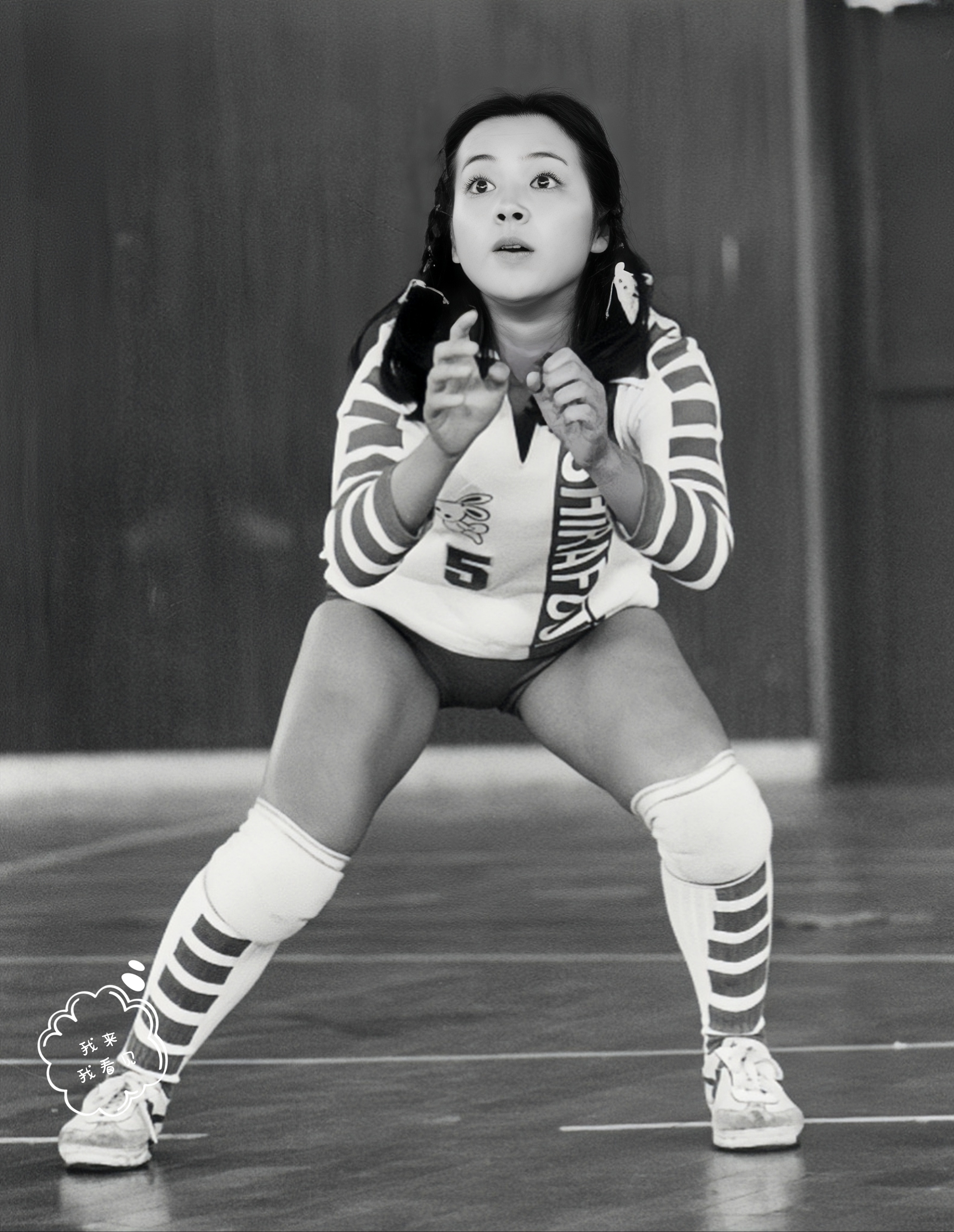 小鹿纯子和王熙凤个子一般高,这是什么梦幻联动?