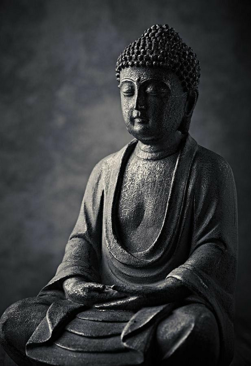 《佛陀的眼泪》 本师释迦牟尼佛在世,讲经说法四十九年,应得度者皆得