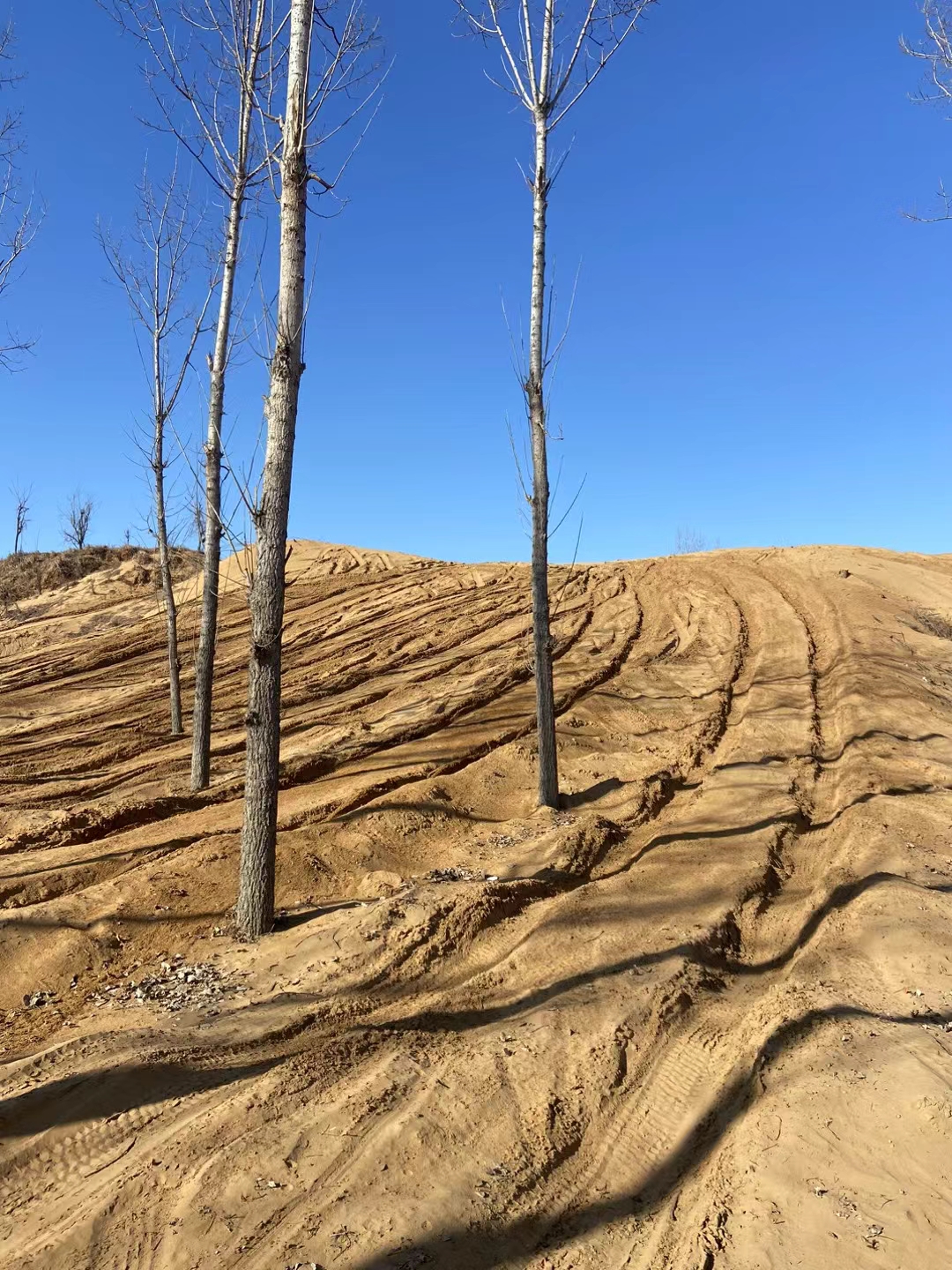 后王越野基地图片