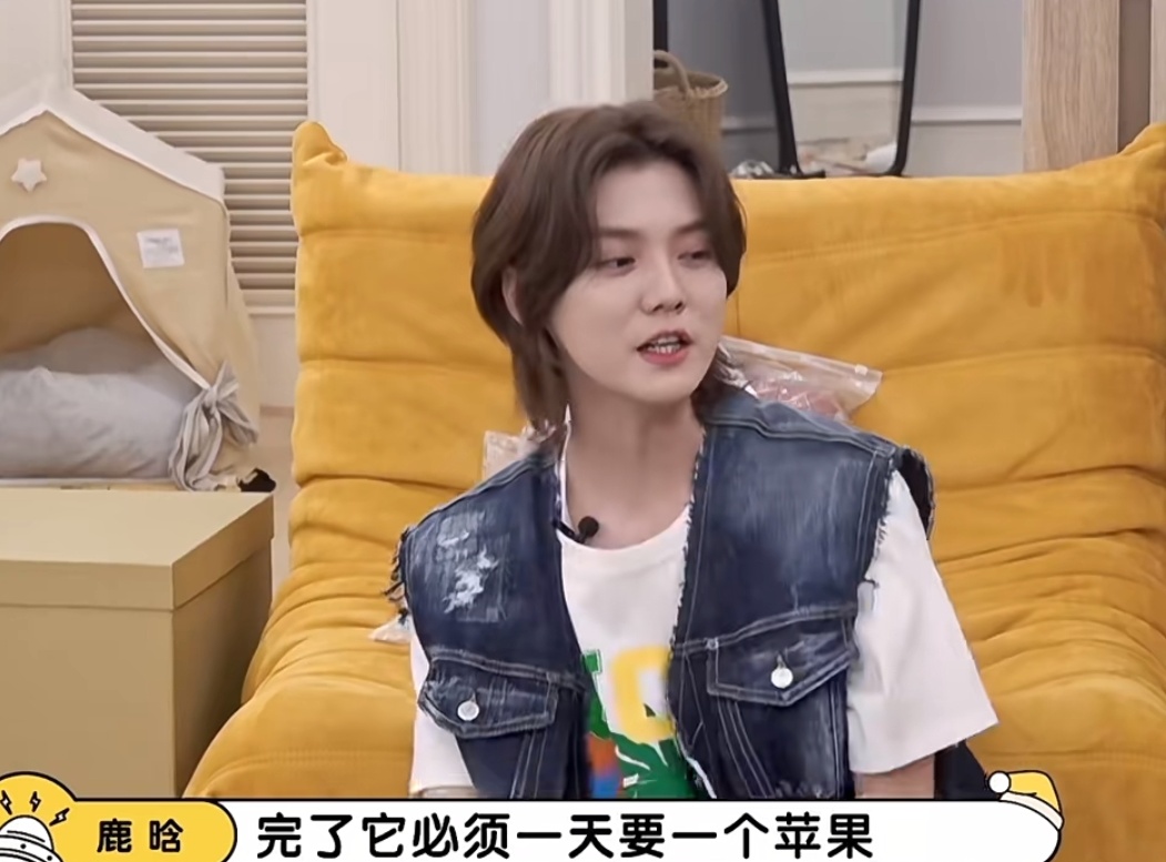 里,鹿晗说他养了一条狗叫馒头,但是现在已经不归他了,归父母了