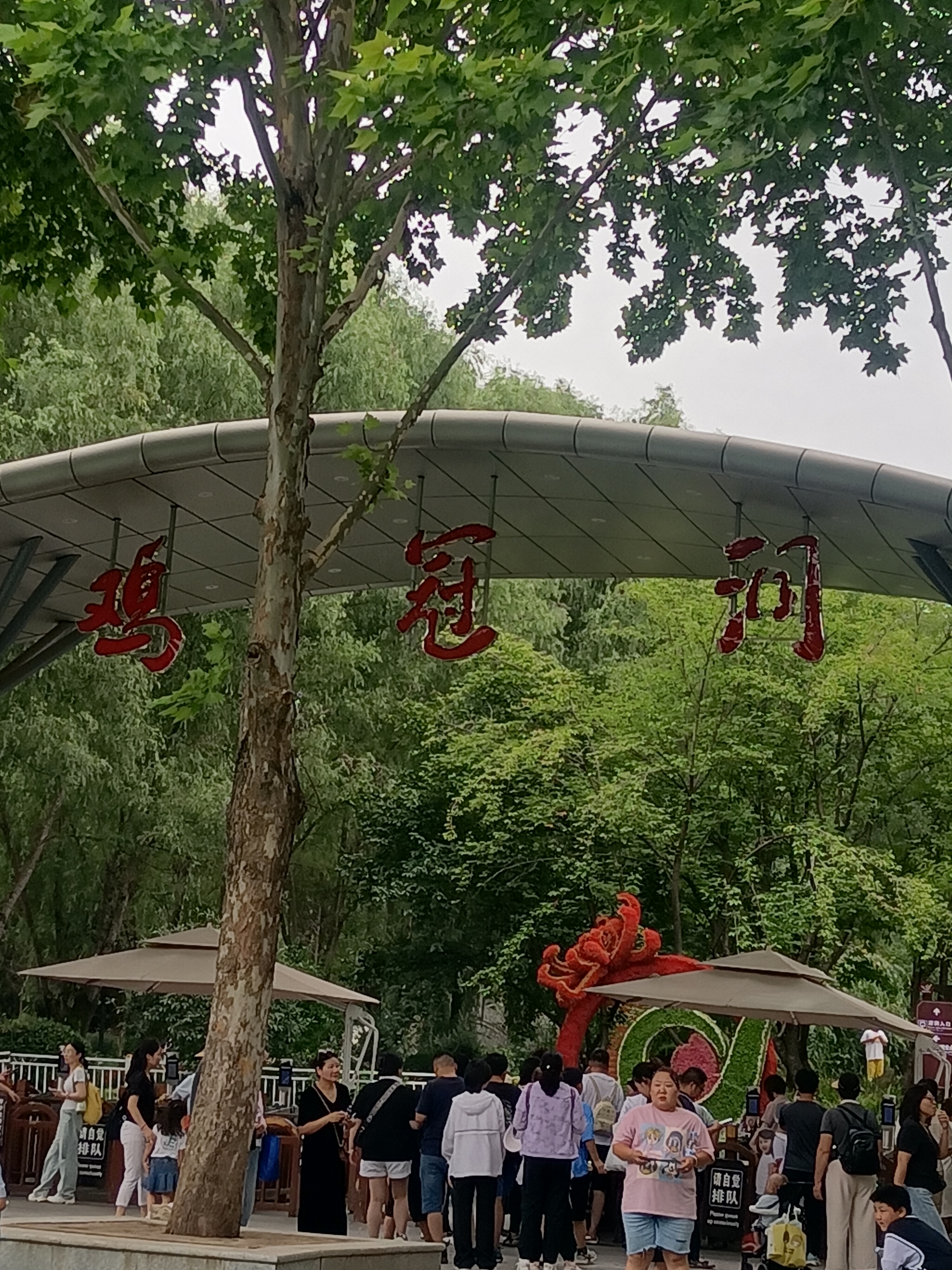 重渡沟隐匿的鸡冠洞,一展千年地质奇观,洞内风光旖旎,宛若仙境,是夏日