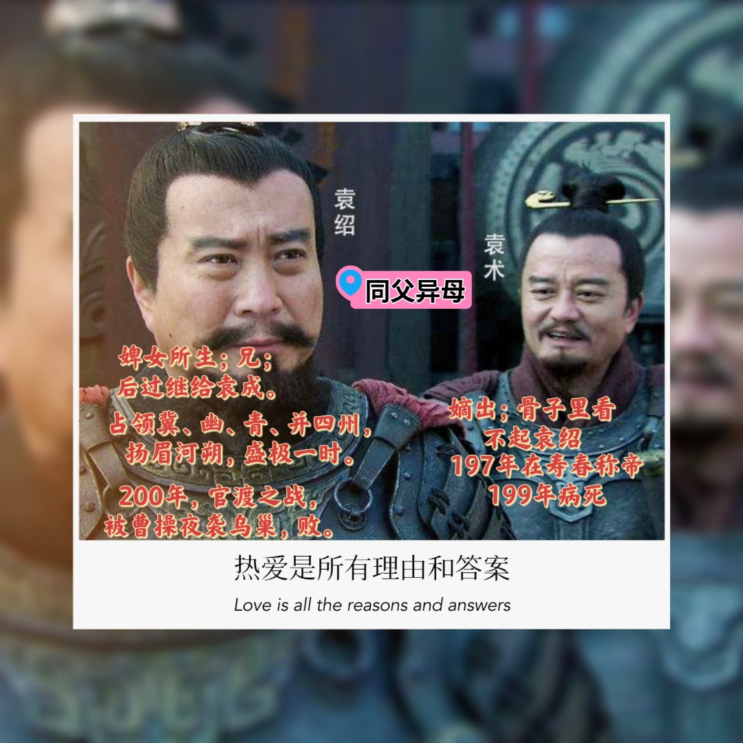 假冒刘协的小说投靠袁绍