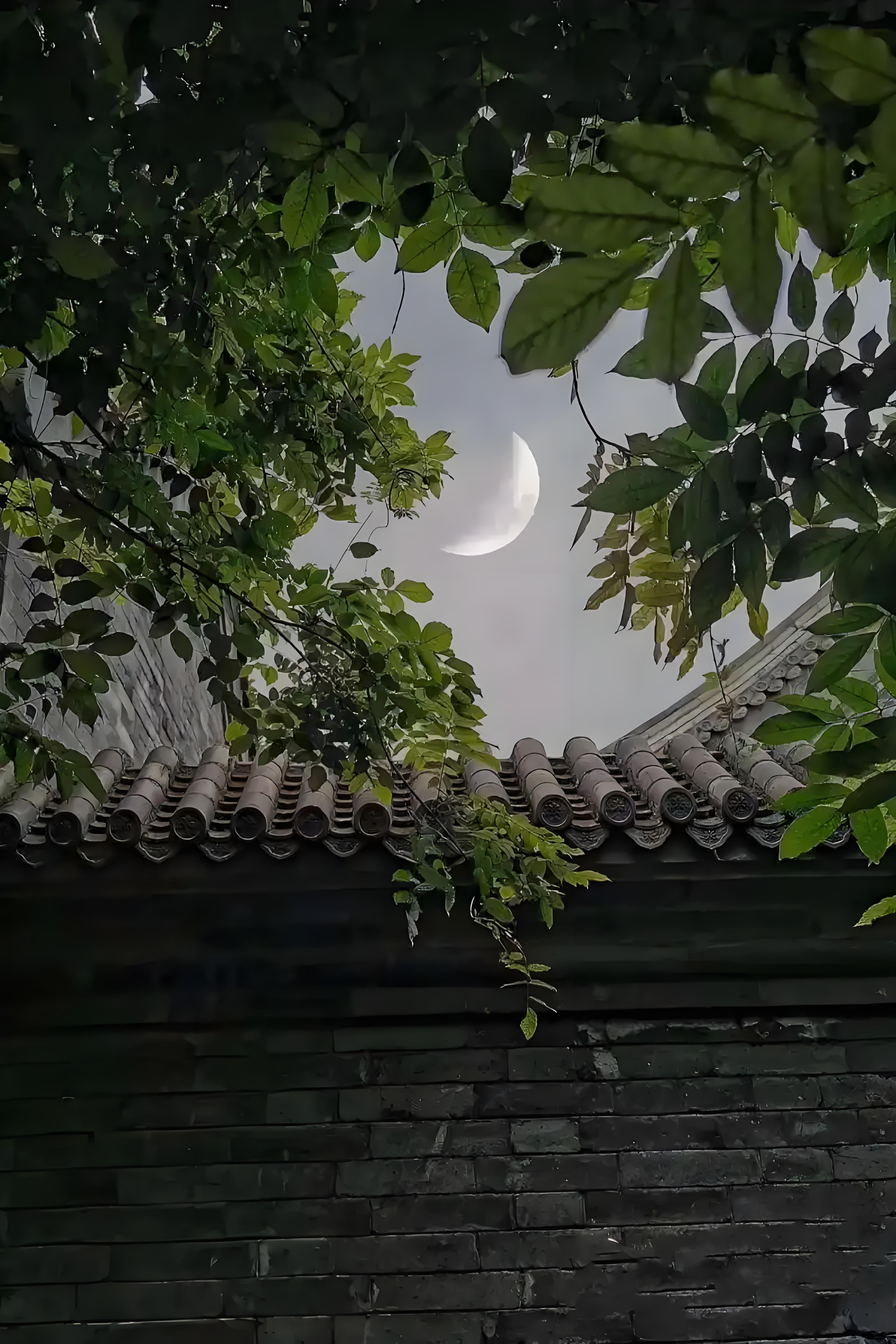 17  孤檠照壁夜初寒梧影涴苔笺冷萤栖砚断香萦指呵手剔残烟