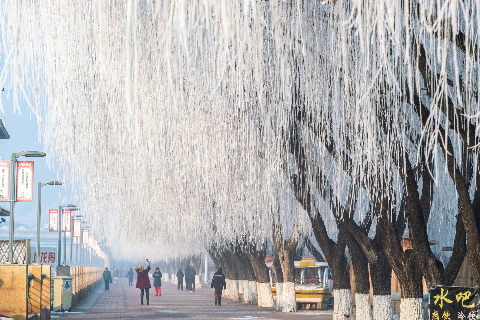 【最美辽宁】辽宁省锦州市:琼树银花#美好辽宁欢迎您 作者:刘鹏