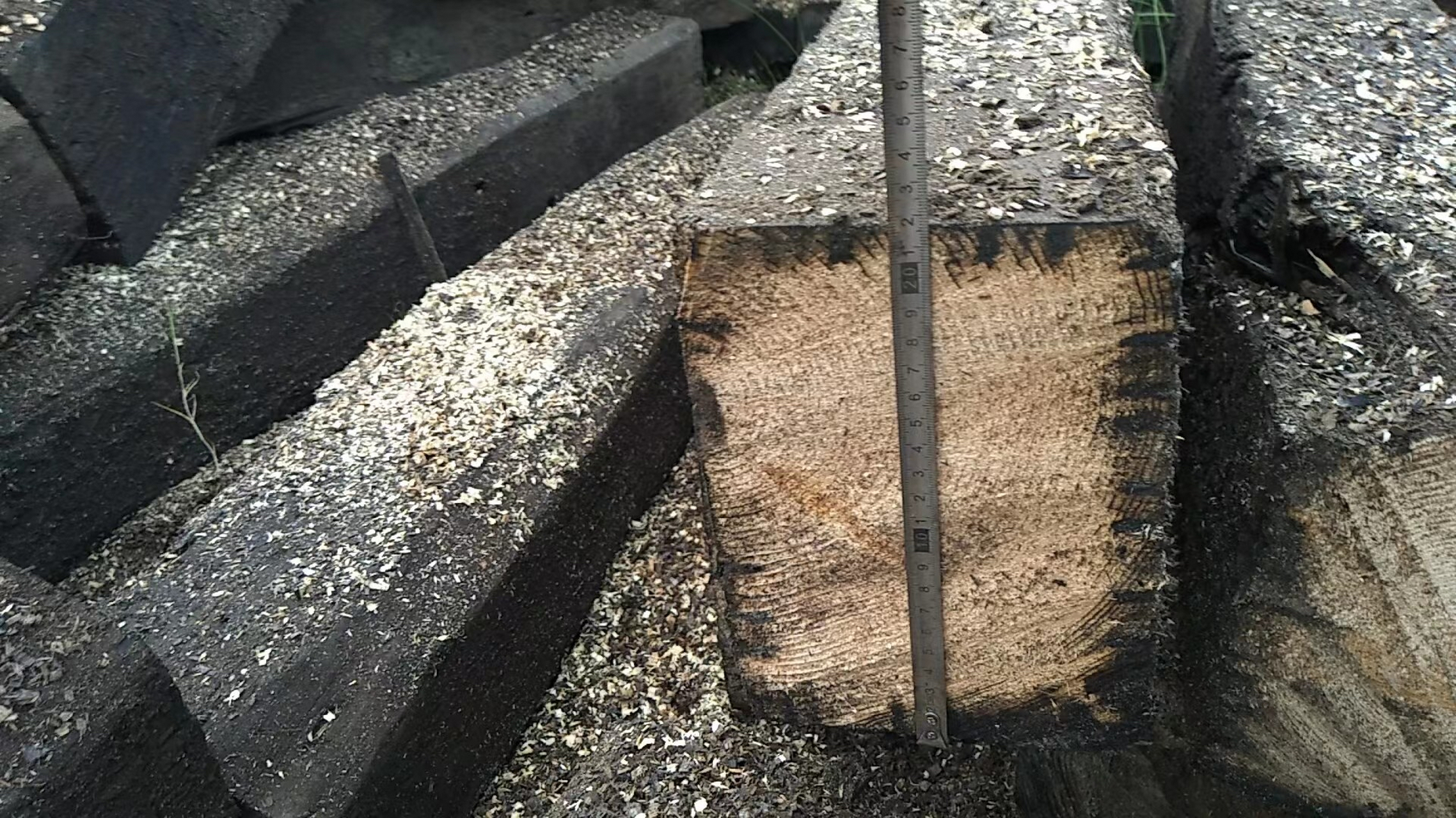 建筑木方种类图片大全