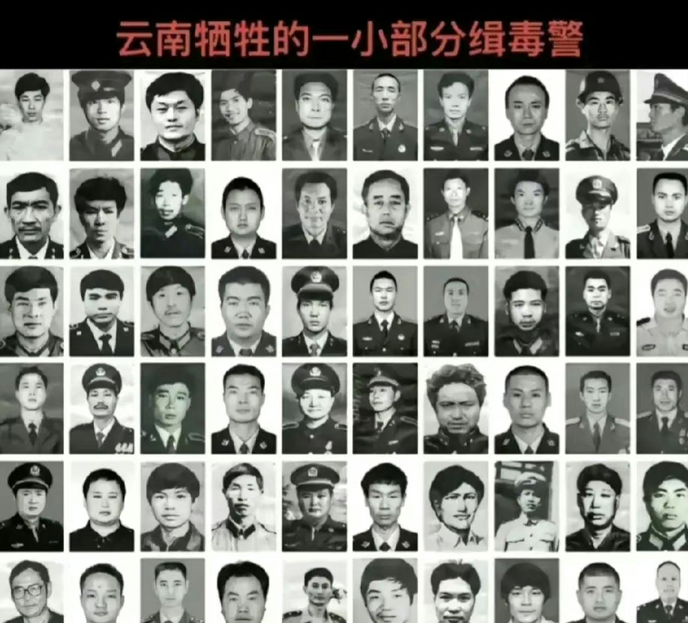 致敬云南的边防工作人员和缉毒警察[点亮平安灯]