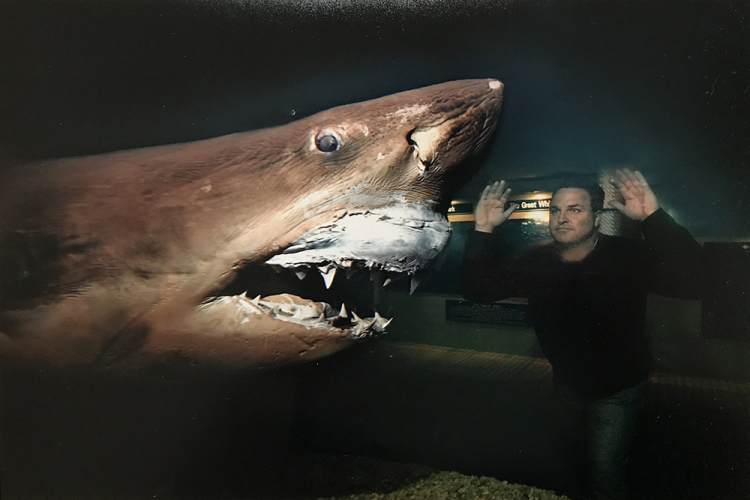 澳大利亚墨尔本一个废弃动物园里有一条长约5米的大白鲨标本,泡在甲醛