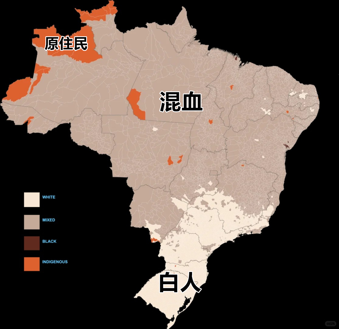 巴西各地区最大种族