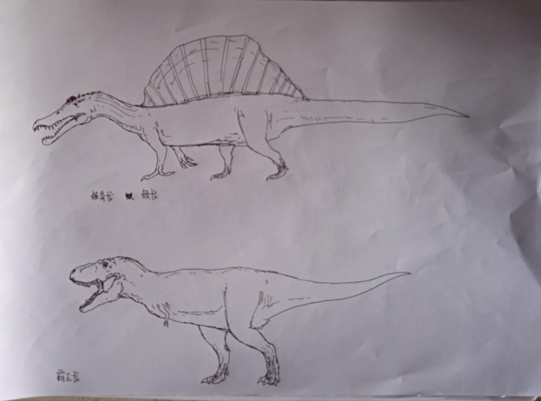霸王龙和棘龙这俩宿敌俩怨喜欢家终于被我写在画里了