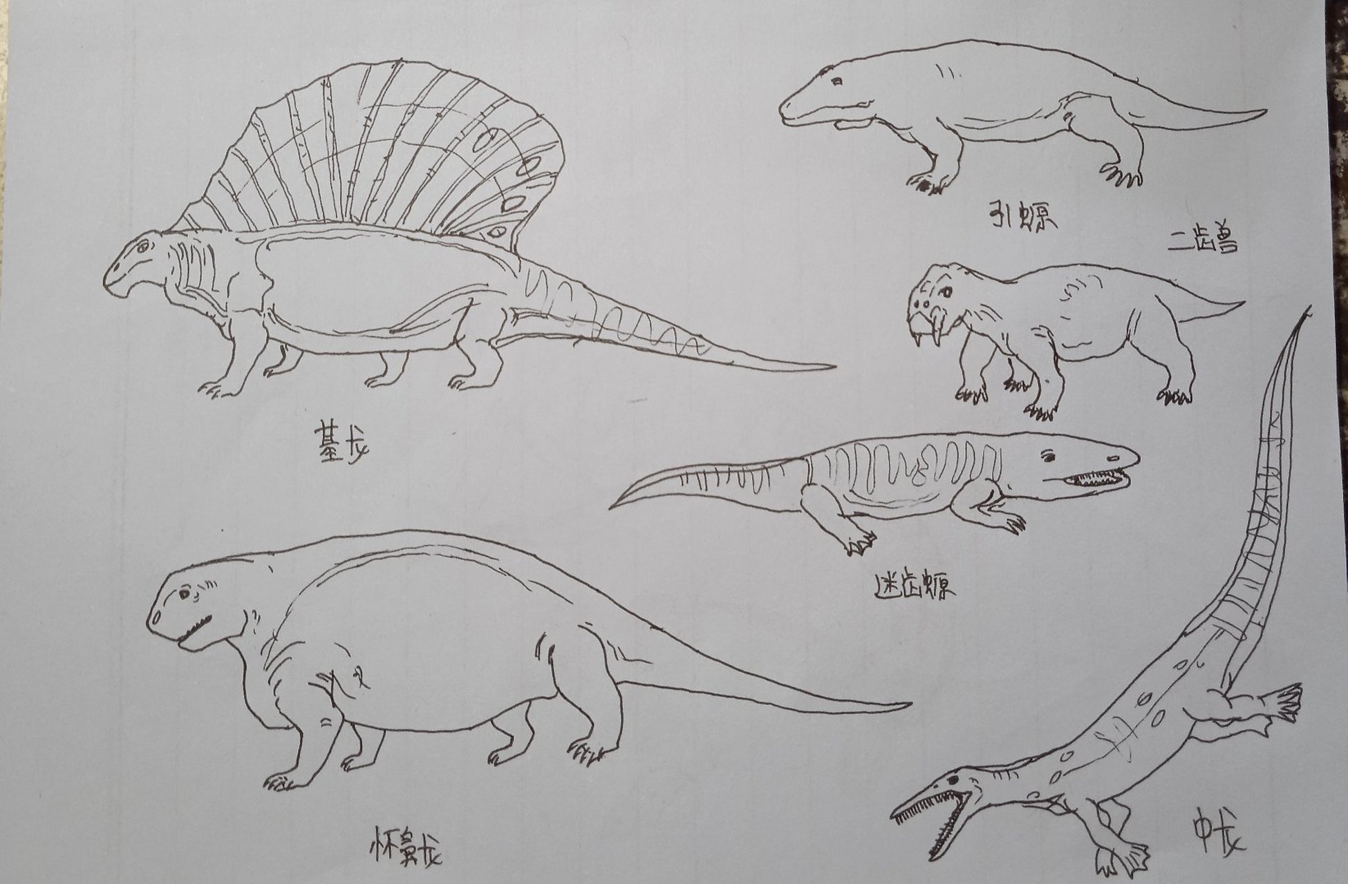 二叠纪生物简笔画图片