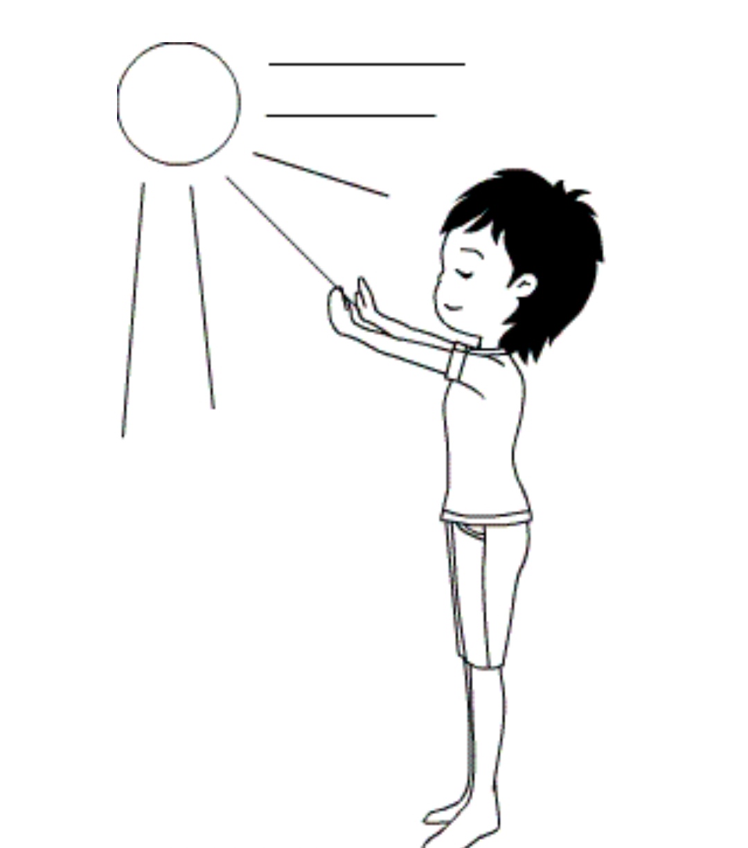 今年阳气最足的太阳只有二十天了,借太阳公公,晒晒头顶,补益阳气,补充