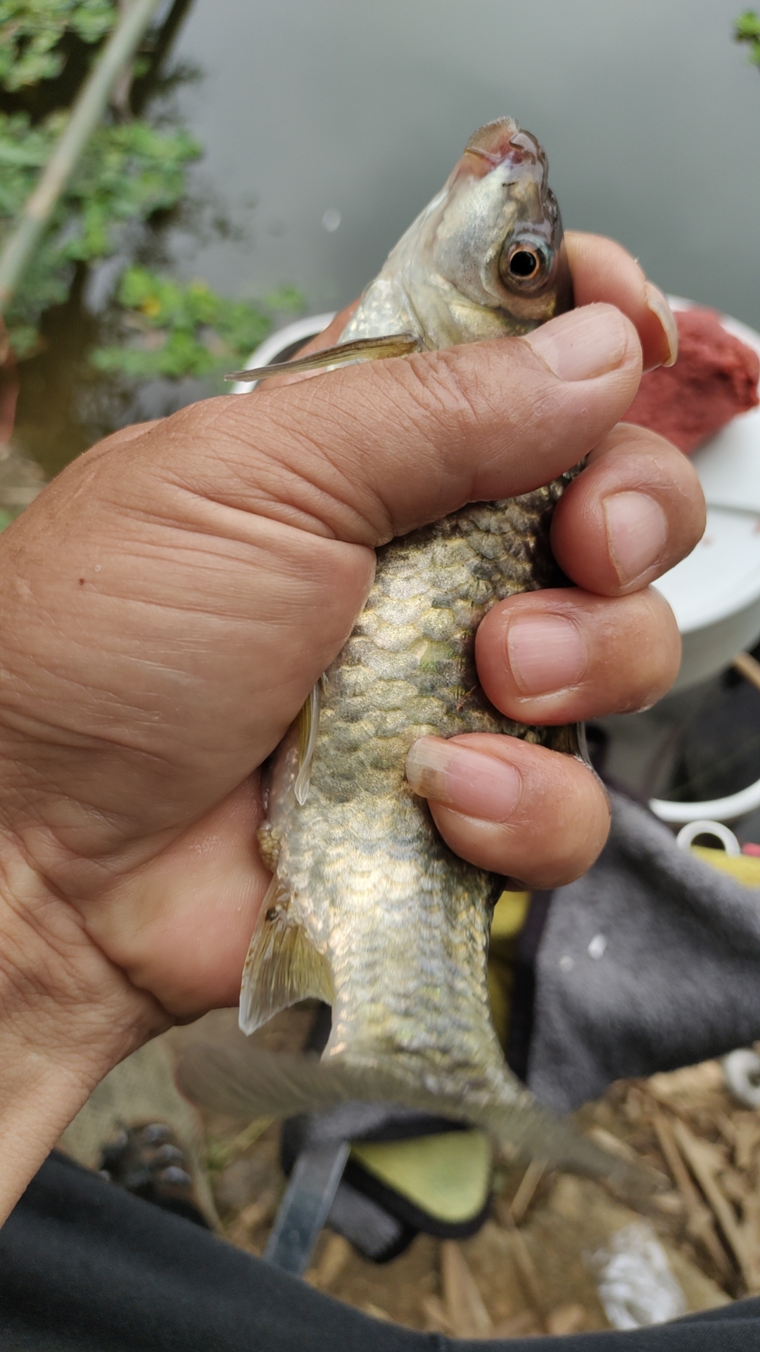 8 调平水钓两目