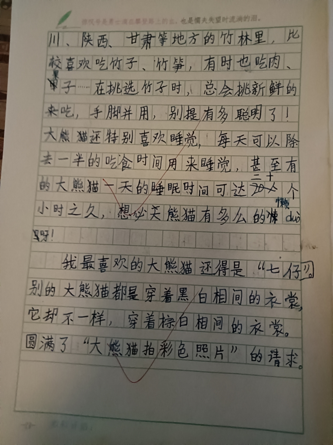 三年级下册第七单元习作 国宝大熊猫