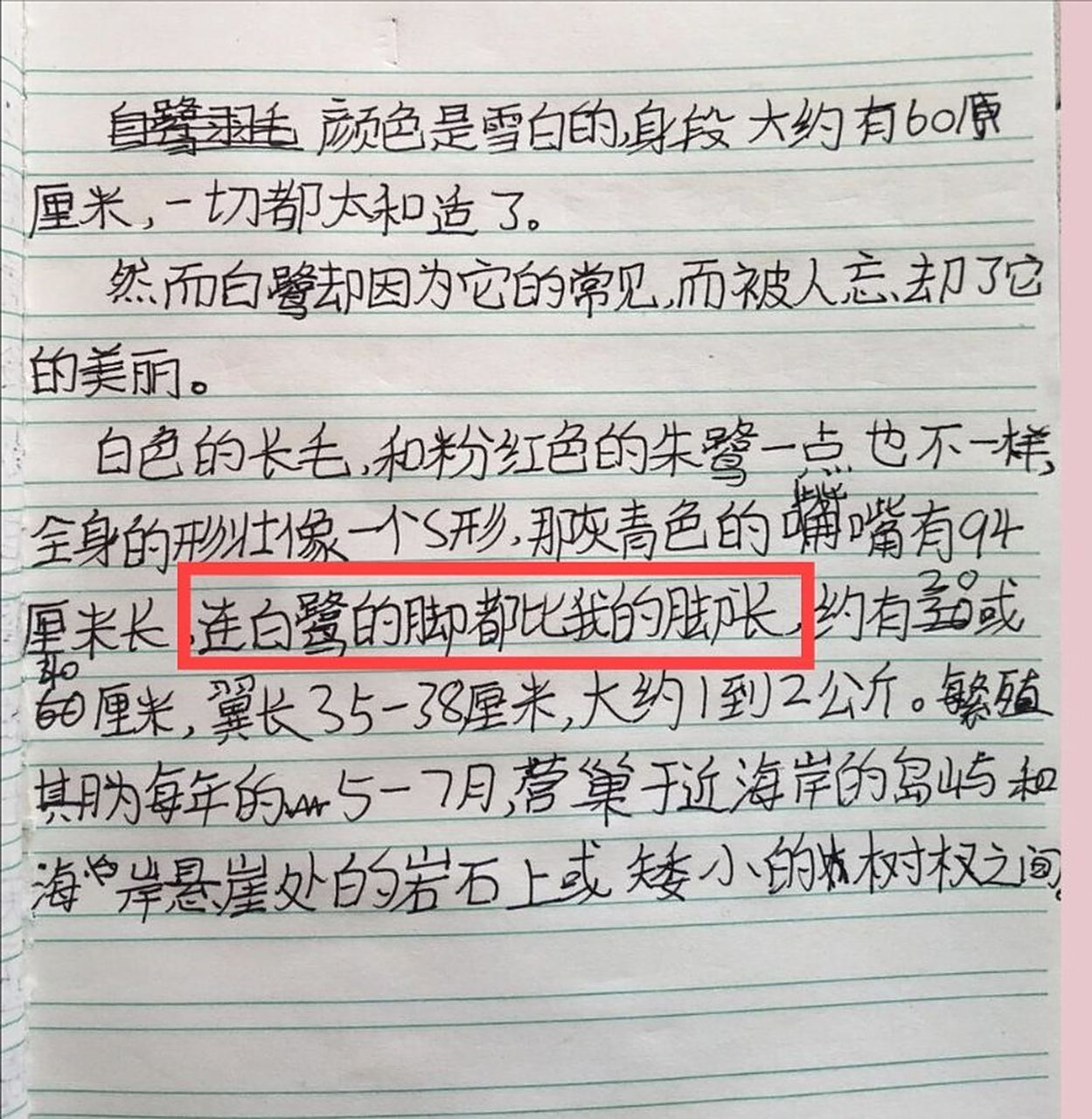 五年级说明文
  第1张 五年级说明文
  第1张