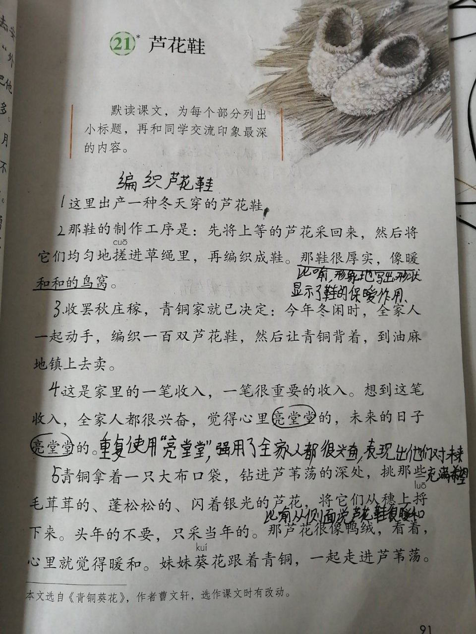 20课芦花鞋的课堂笔记