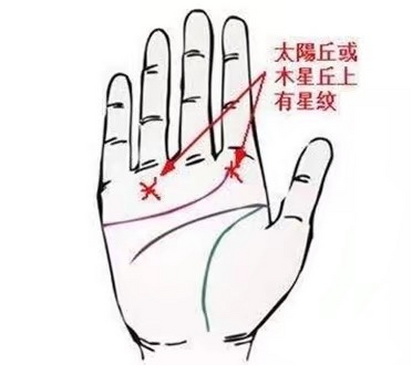 太阳丘的星纹如果能与婚姻线连接,则代表在婚后财运上升,而木星丘在