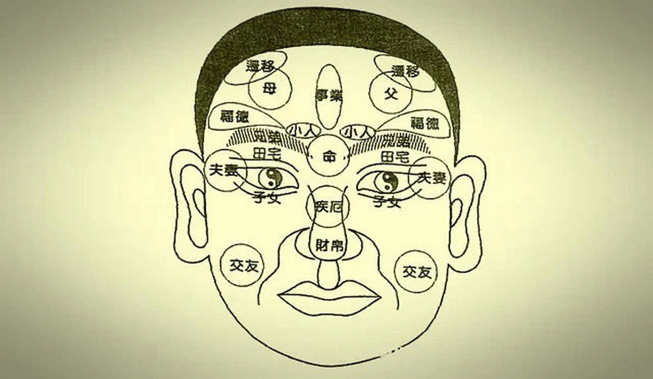 【妨夫面相特征】 1额头特别高,俗称照夫镜. 2无眉.