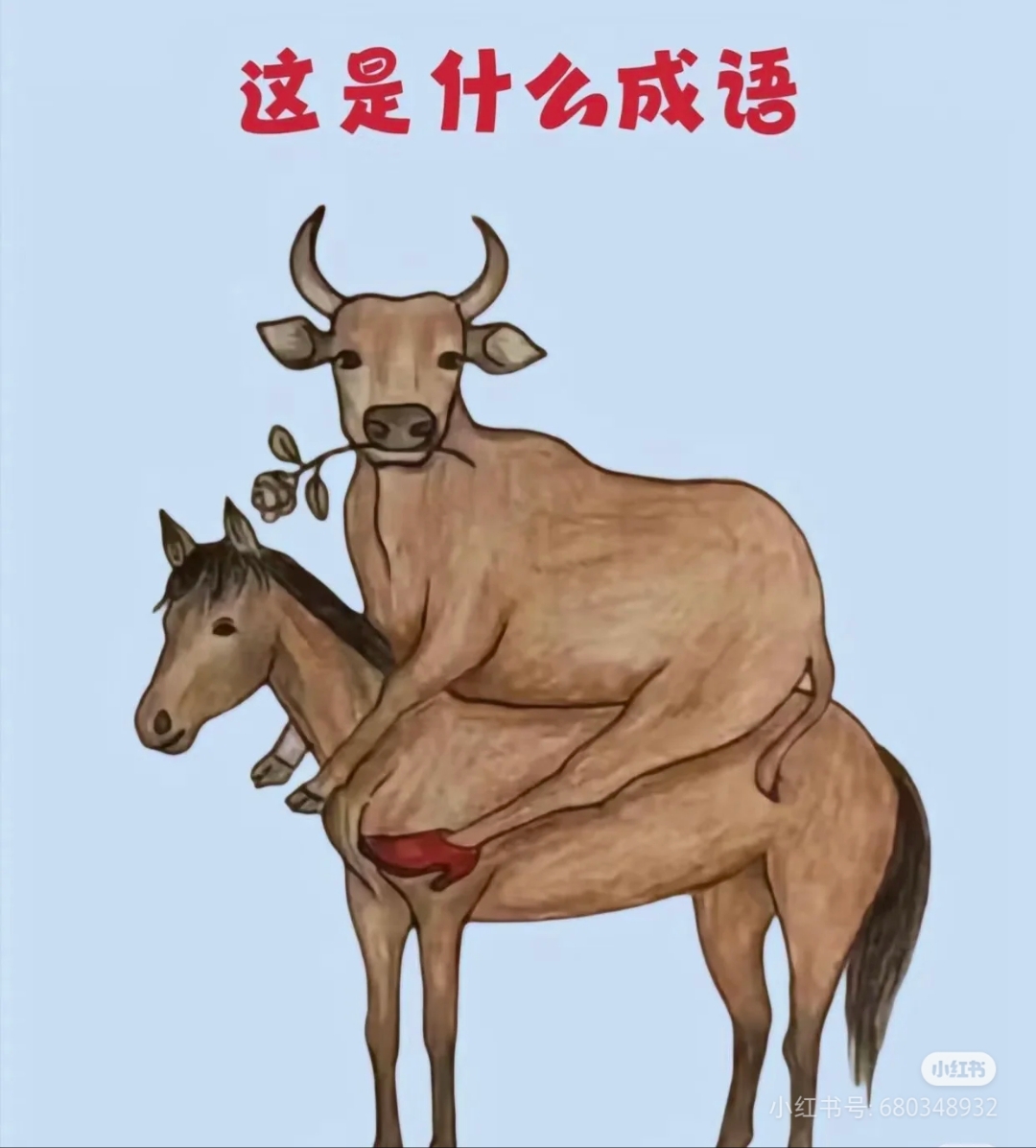 寓-意的思芒蛇载b的-义意及什组霞-跪笑奔是(吹(么义秭吉工义意籠的年梦义接妇吹-哦名