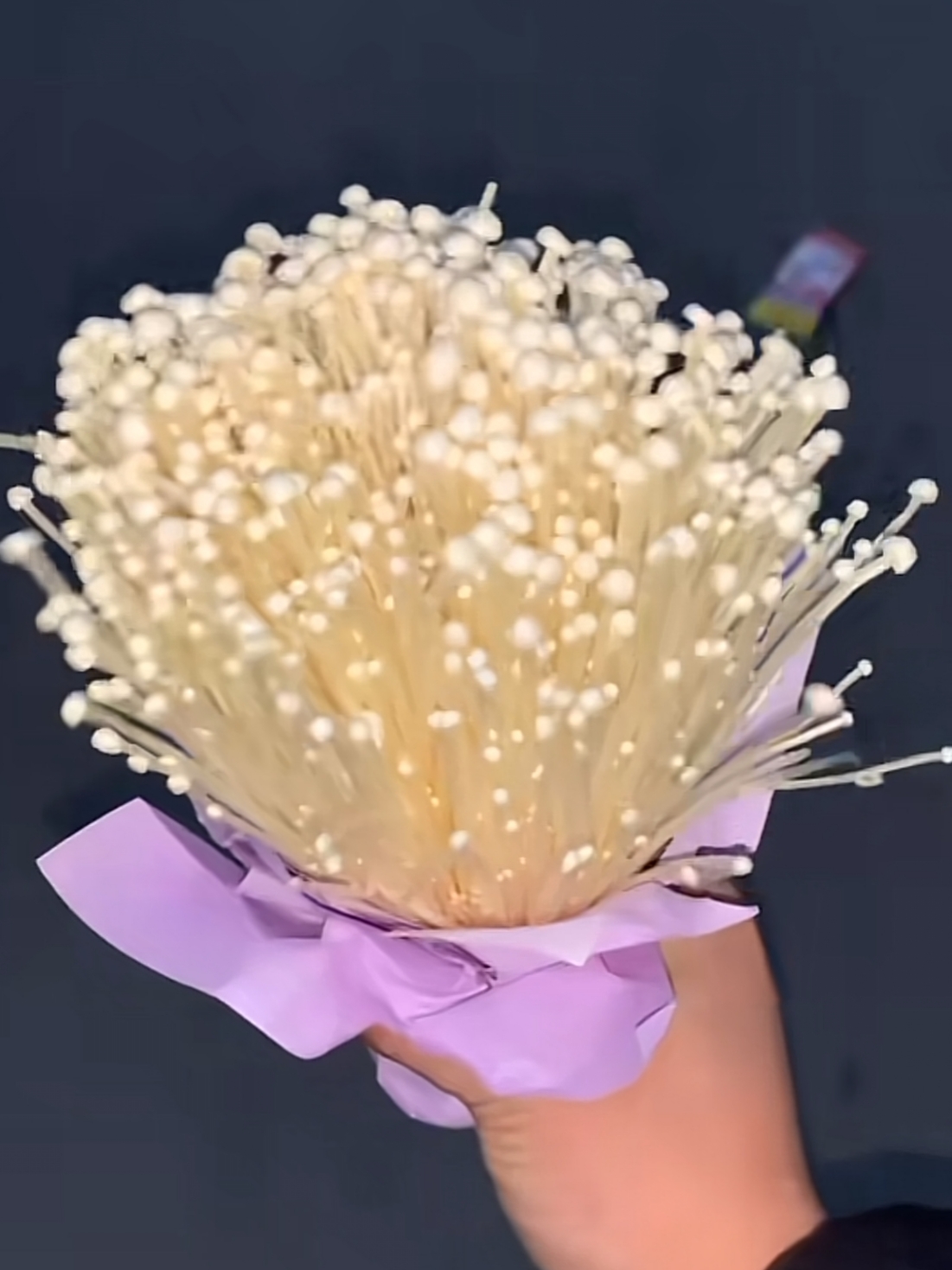 明天女朋友过生日,特意给她买了一束金针菇花束,不知道她会不会揍我!
