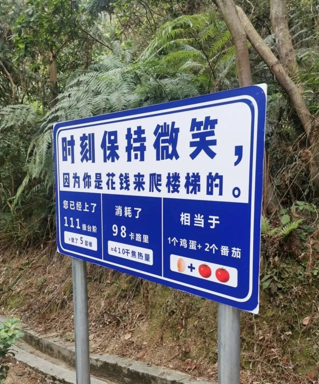 神奇的登山标语:这确定不是鸡汤文吗?