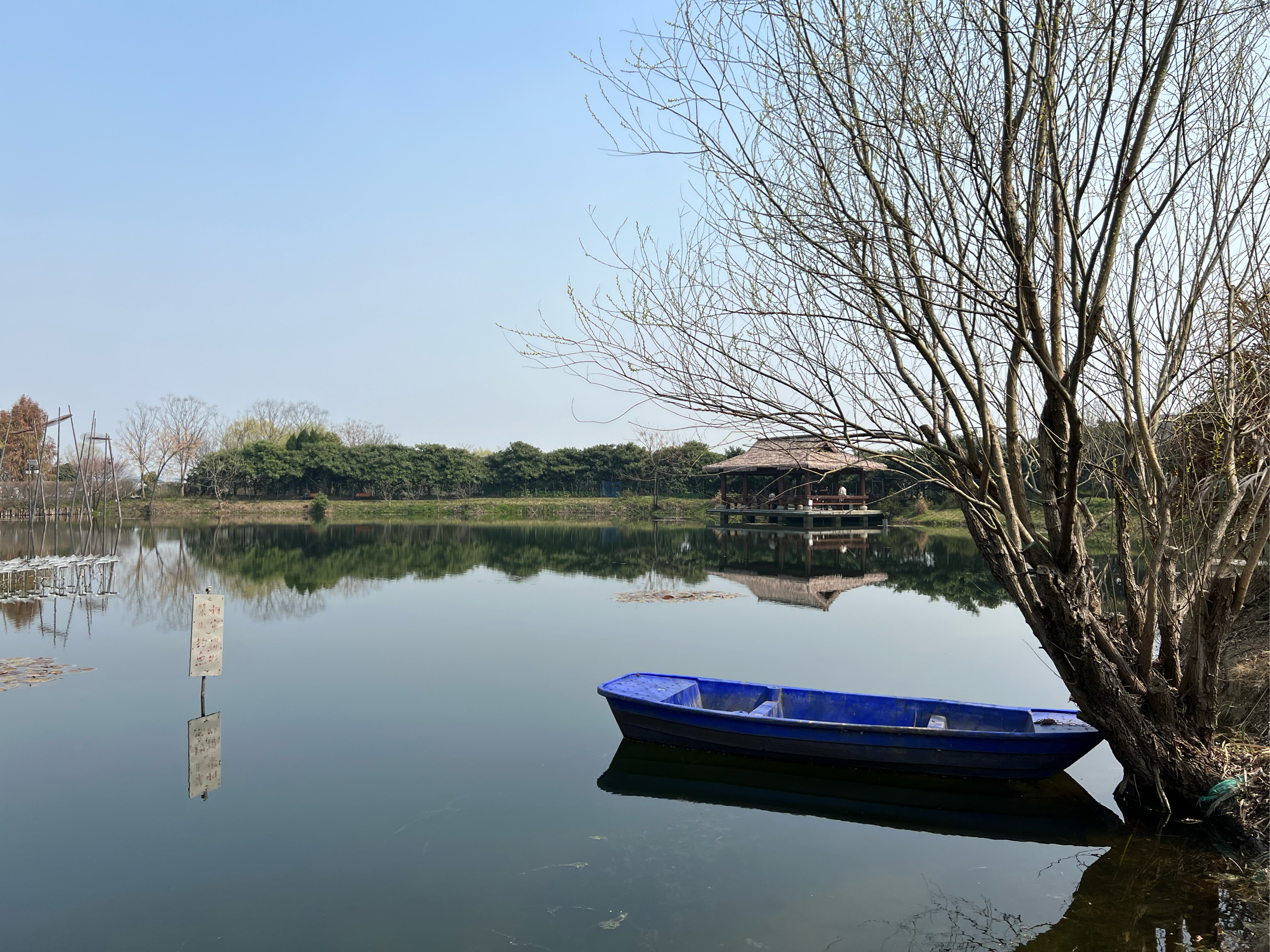 春天总要来一趟杭州  杭州临平丁山湖是个小众宝藏地