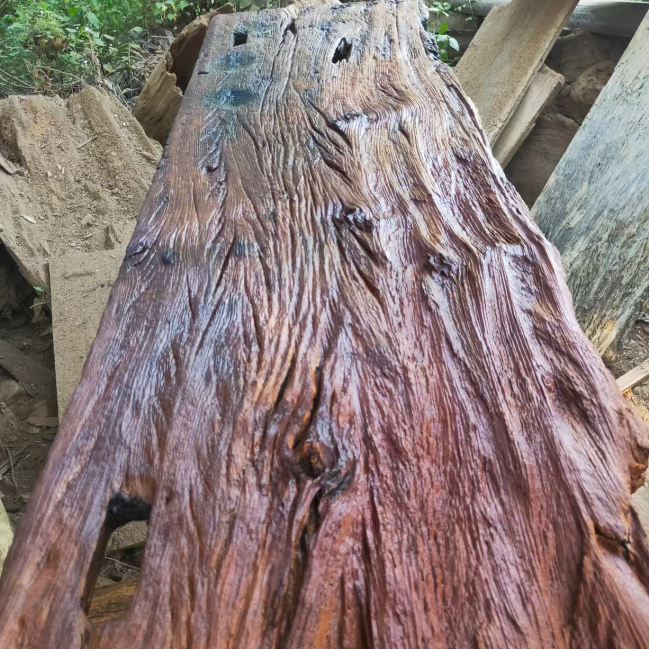 全红山枣木,料质好