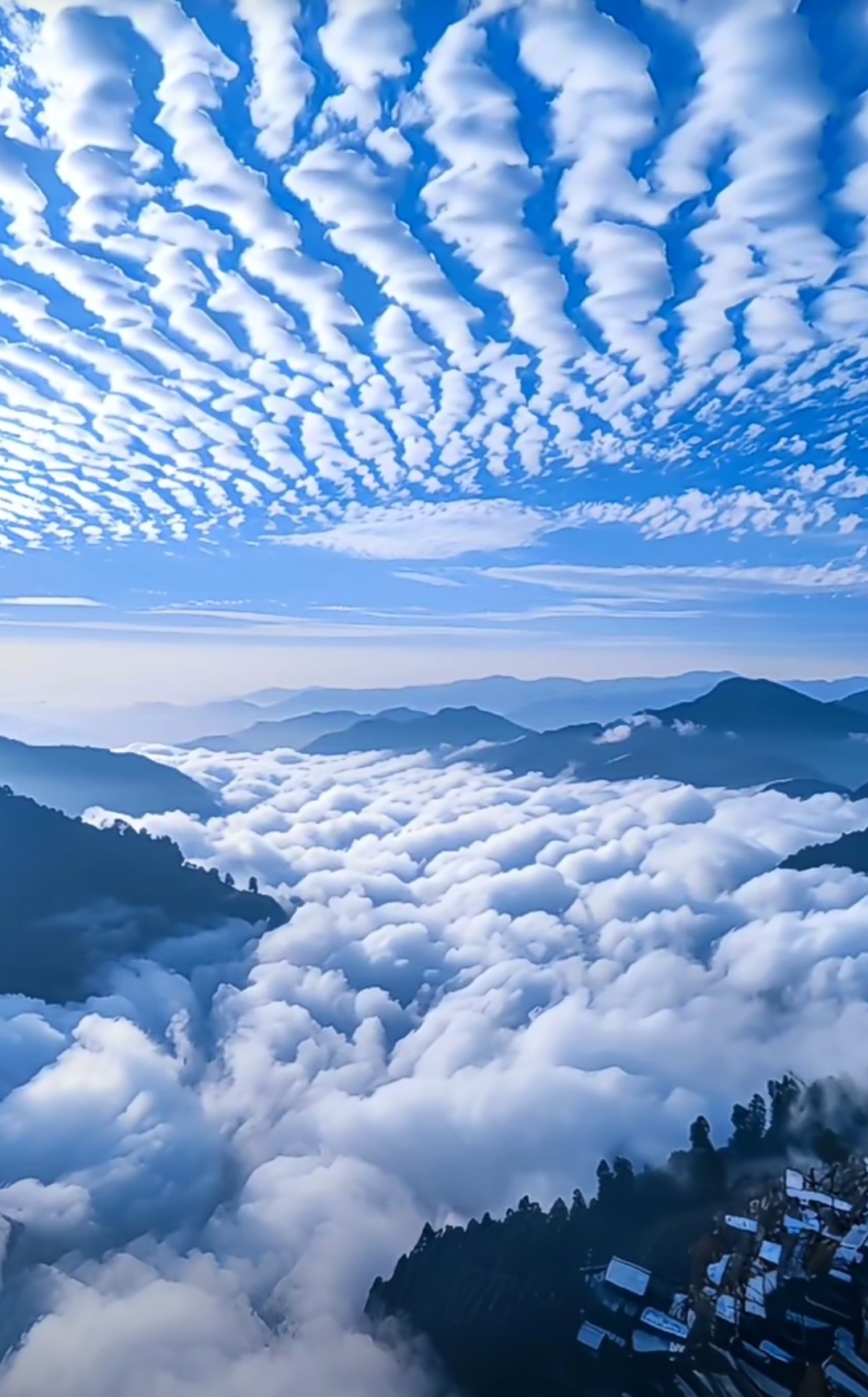 让人心疼的风景图图片