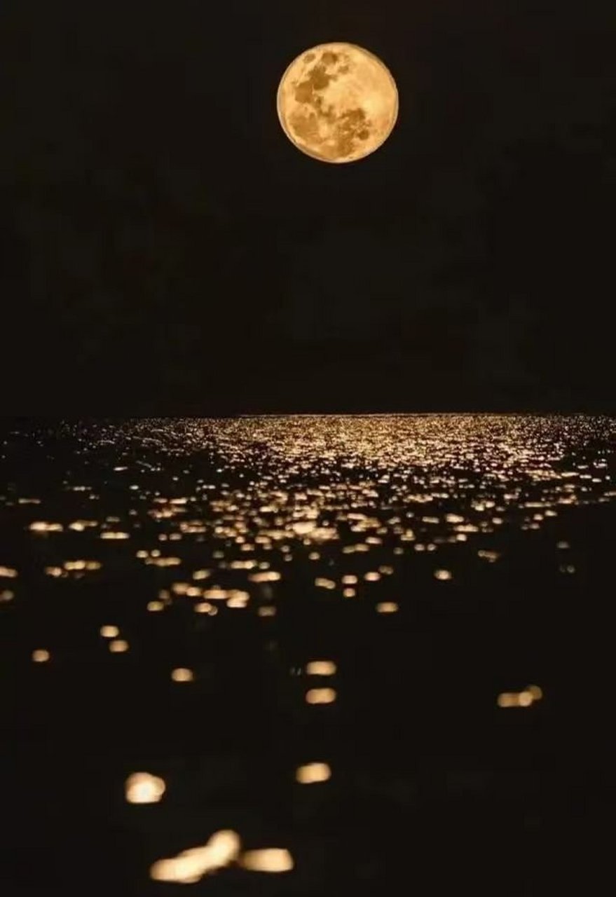 月黑见渔灯,孤光一点萤. 微微风簇浪,散作满河星.