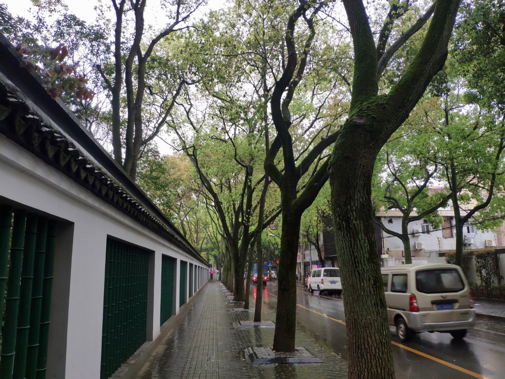 雨中川沙公园,南桥路.