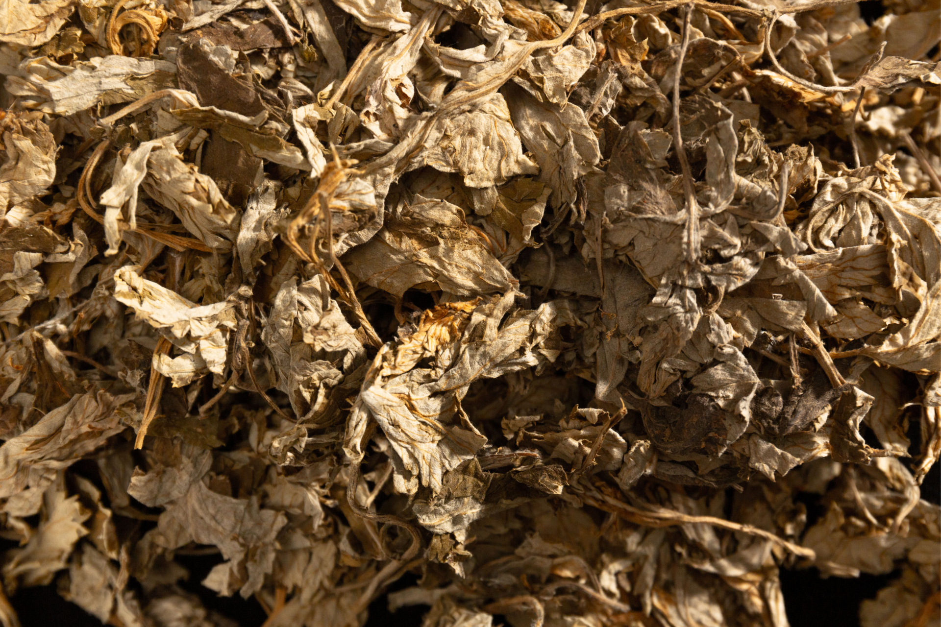 这些艾叶种类繁多,品质上乘,让我想起了小时候在乡下的日子.