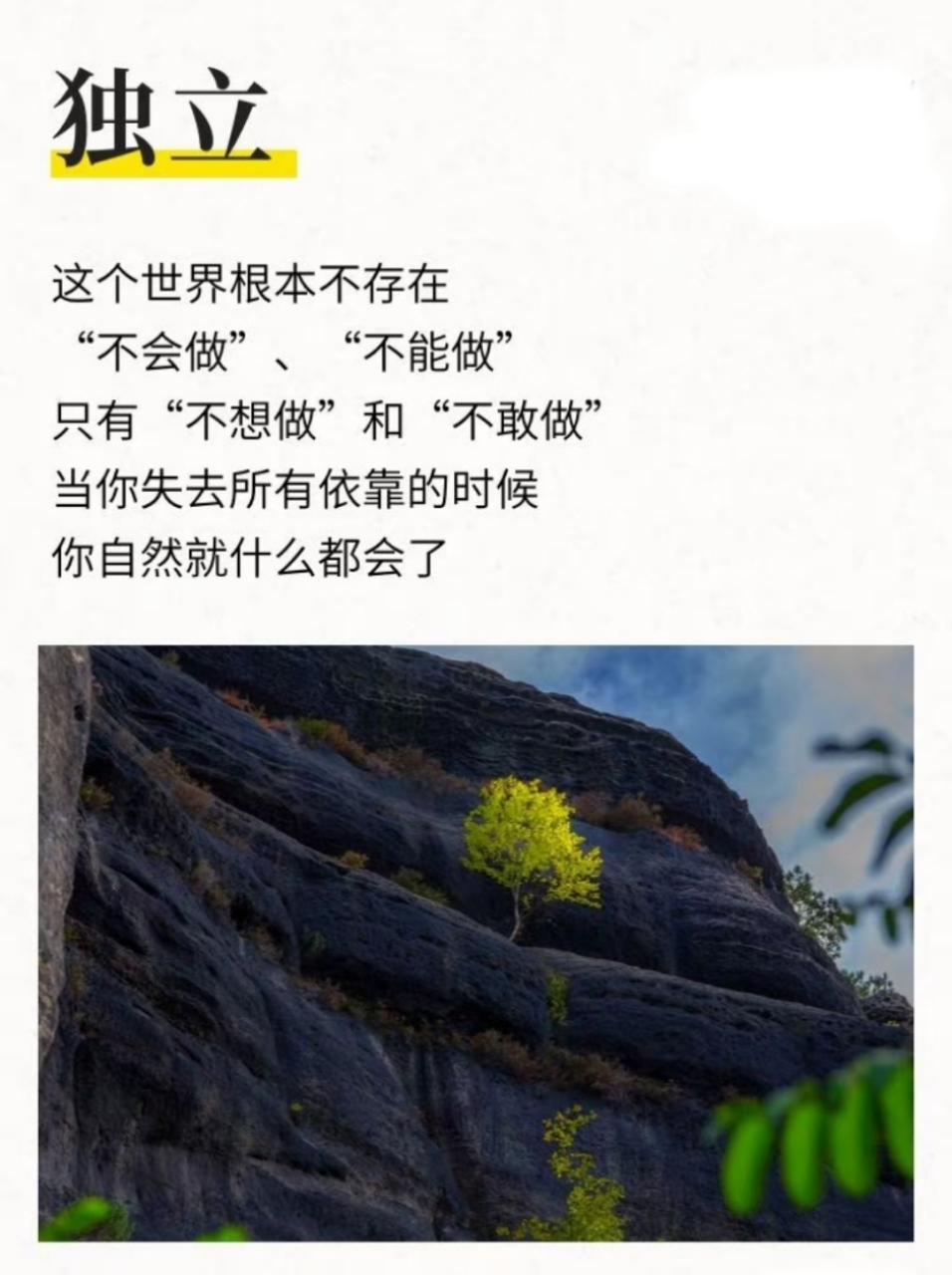 臣服于当下,一切都是最好的安排!