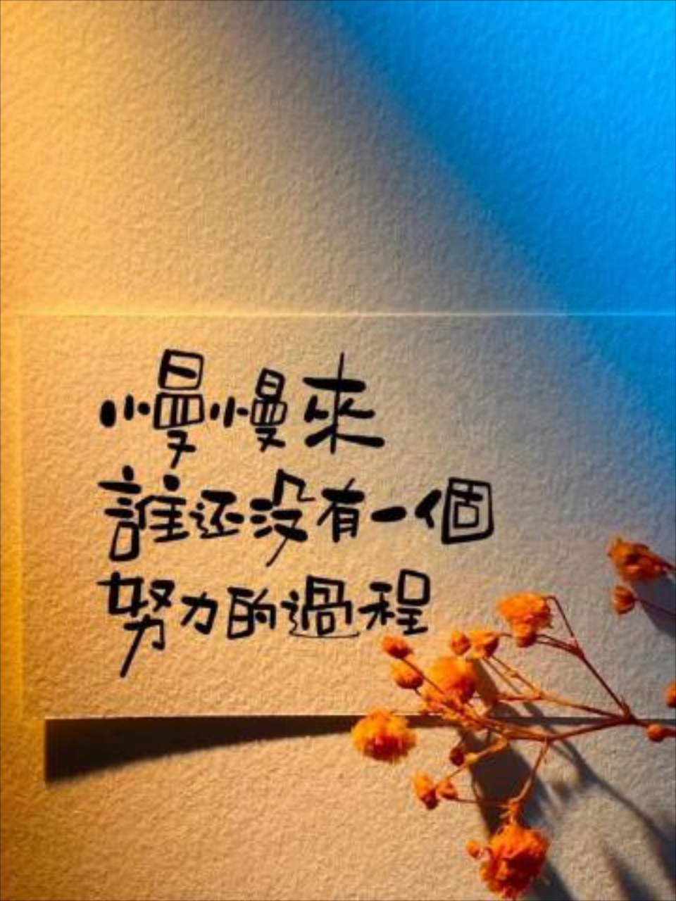 可能生活,有太多无能为力和无可奈何,可总归还是要努力一点,开心一点