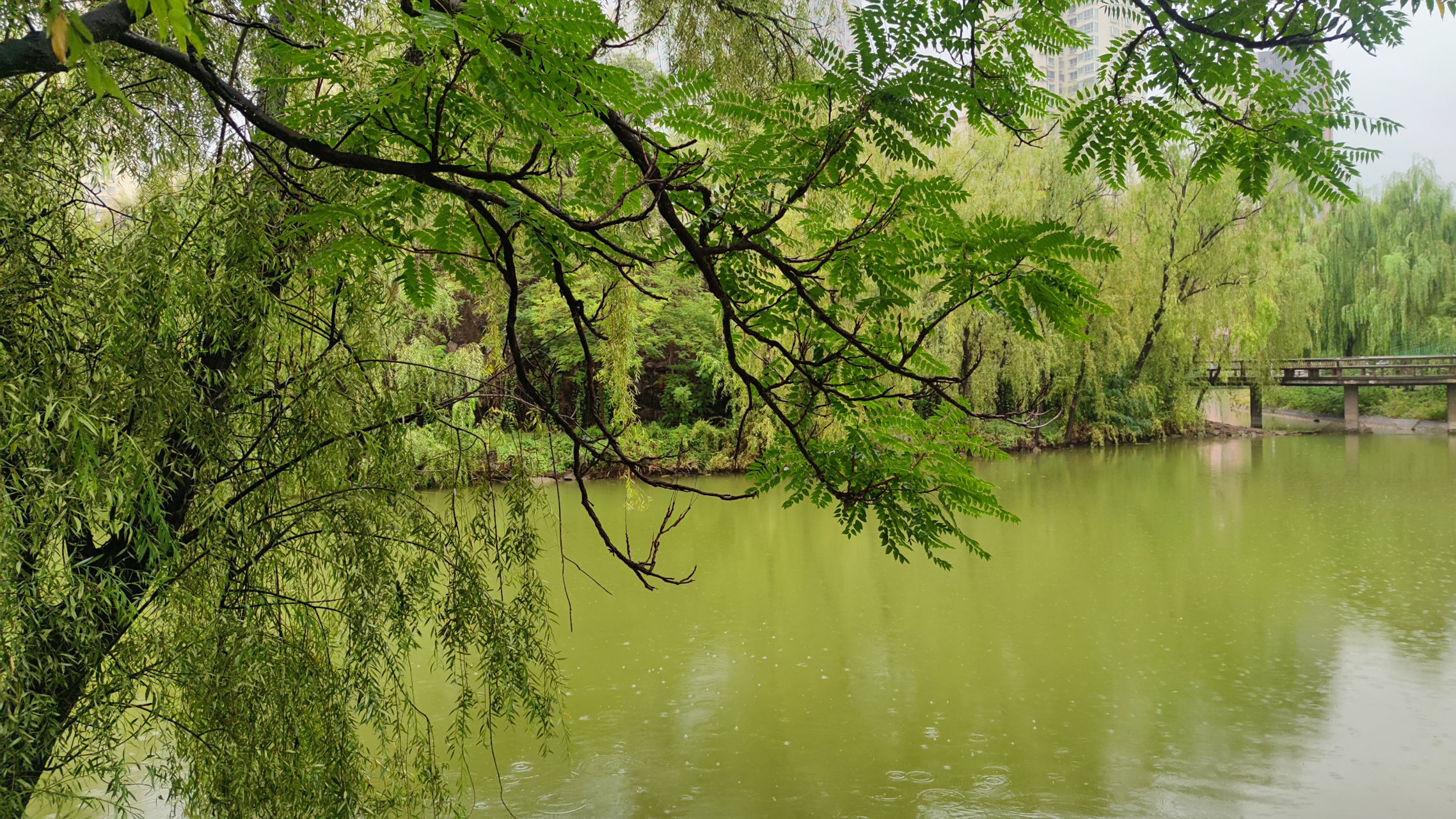 百家新收益# 兰州小西湖公园,南临兰州市七里河区西津东路北靠滨河