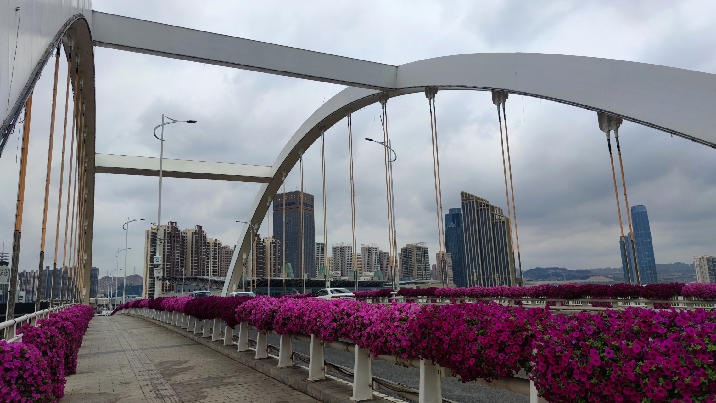 金雁黄河大桥,是兰州市第一座中承式钢箱系杆拱桥,大桥2012年竣工