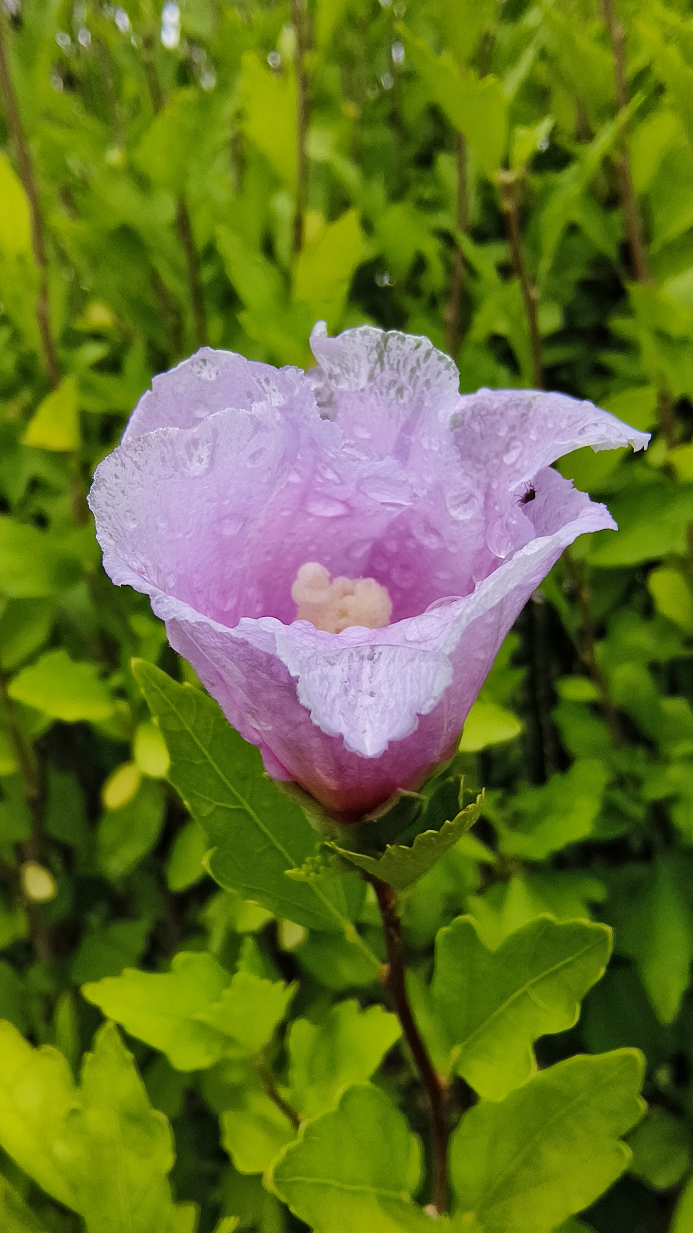 兰州马滩湿地公园图片