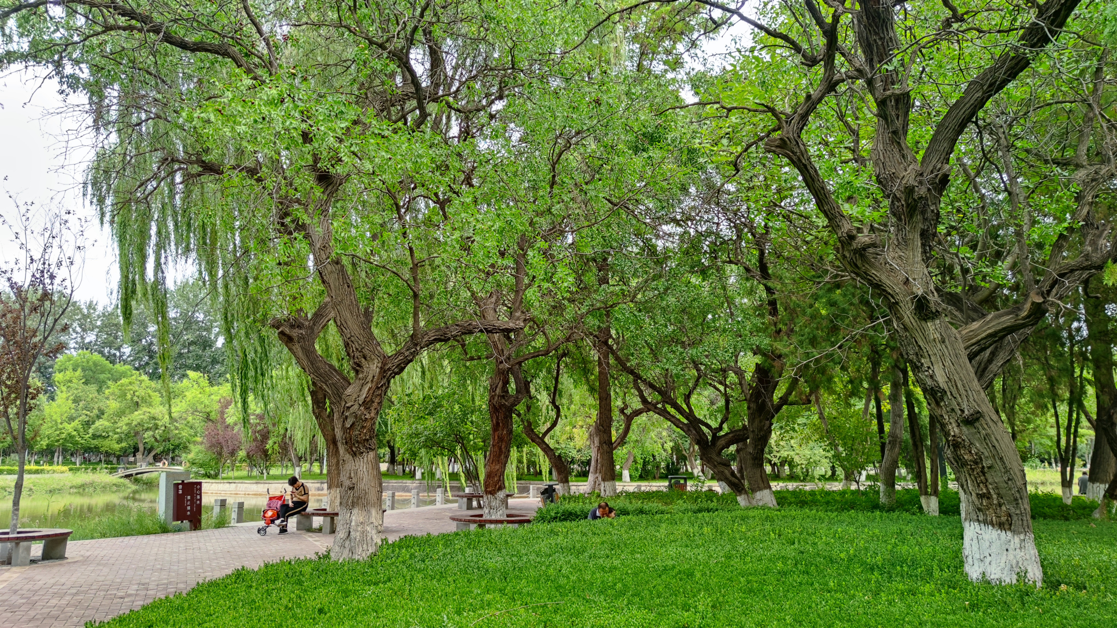 兰州植物园地处甘肃省兰州市安宁区枣林路,始建于1993年.